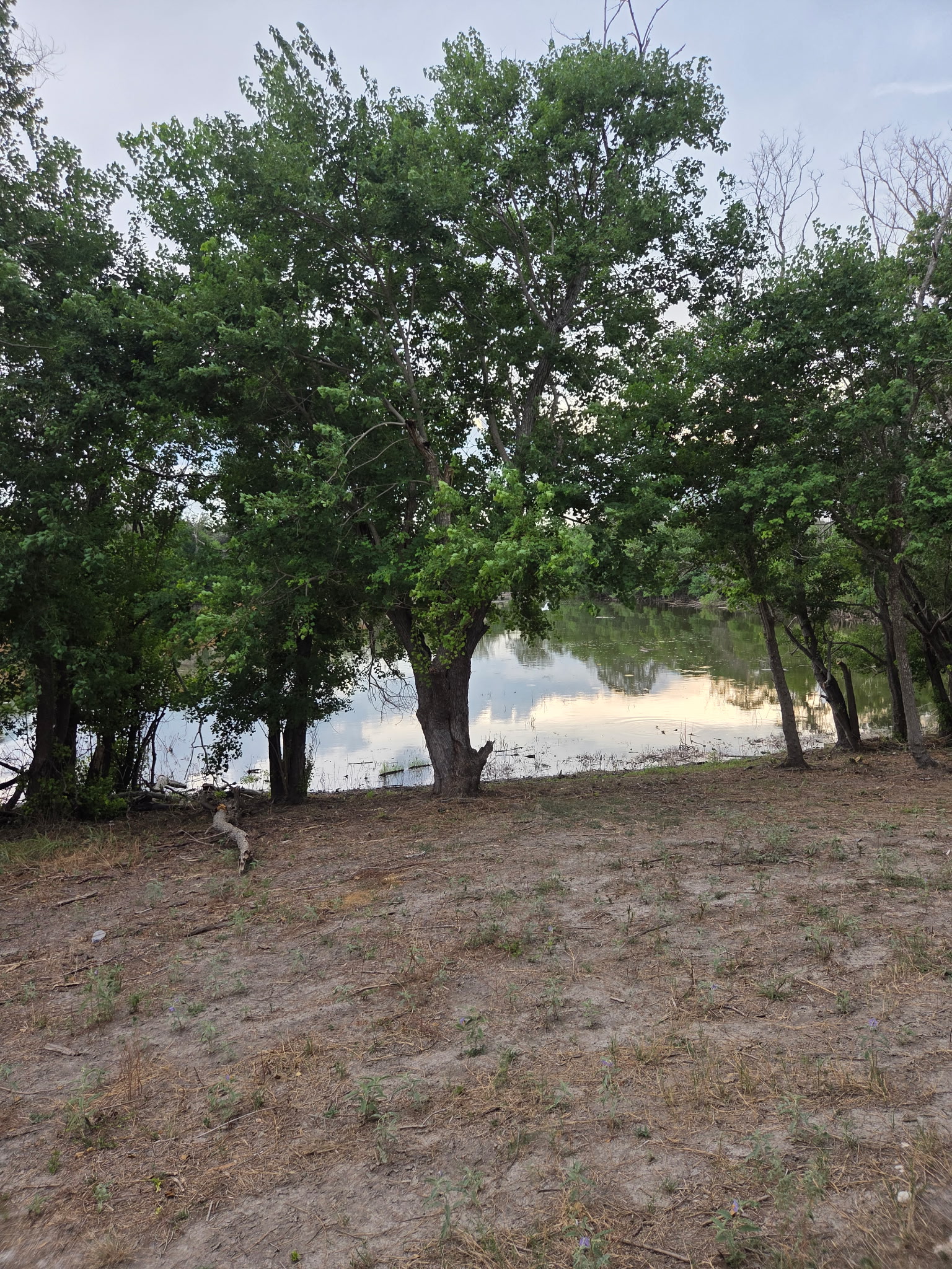 main property photo 10