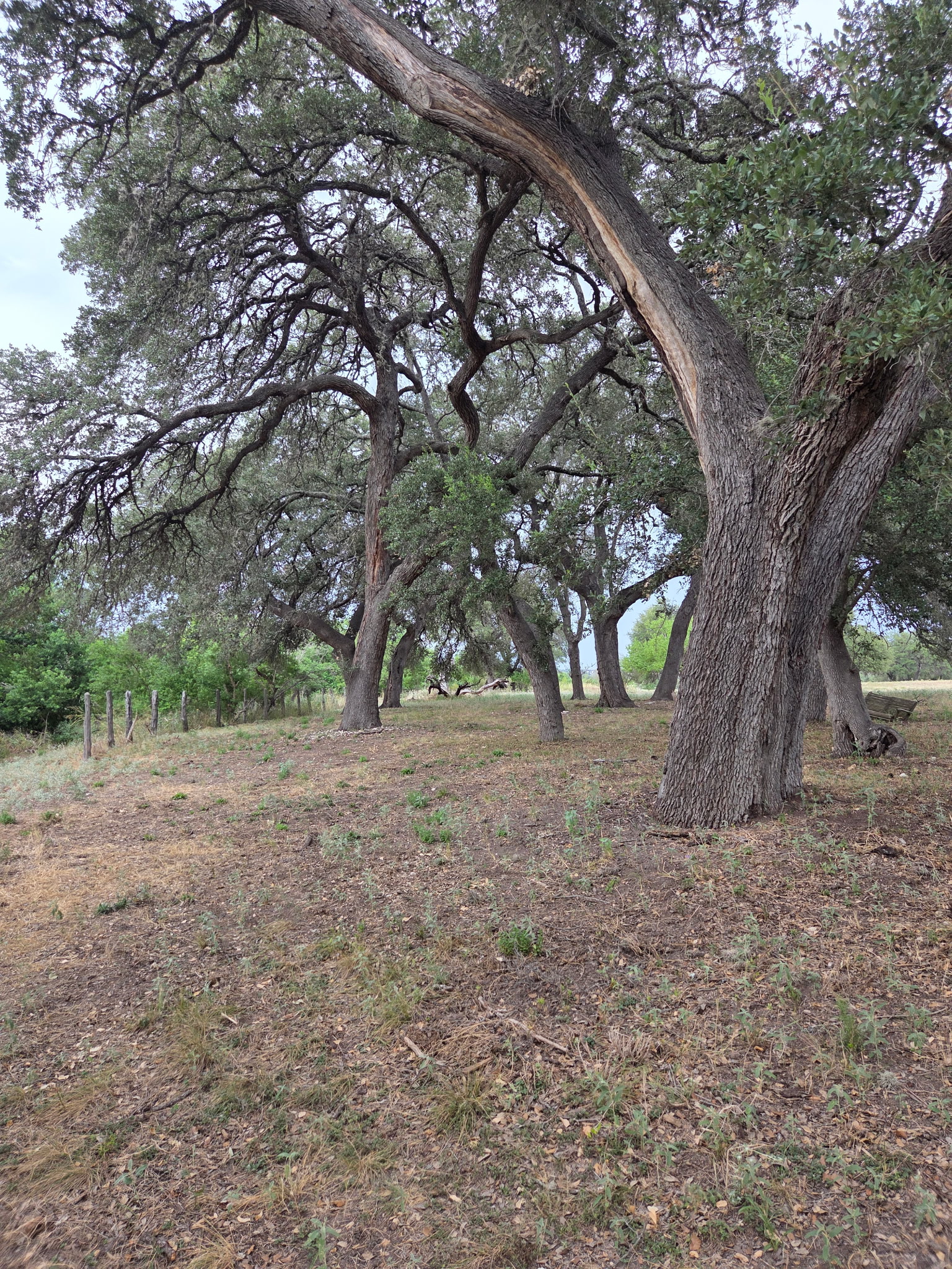 main property photo 11