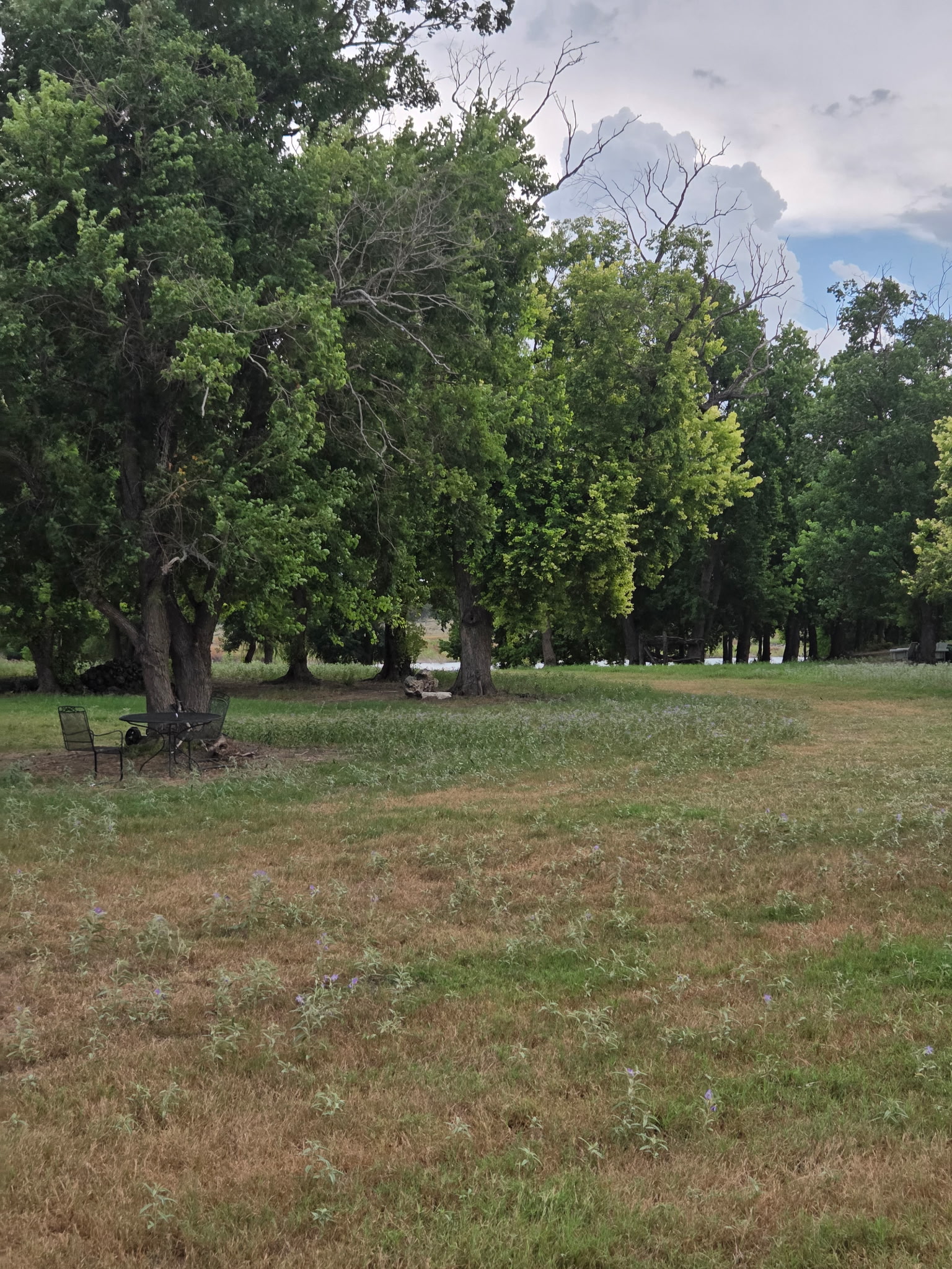 main property photo 12