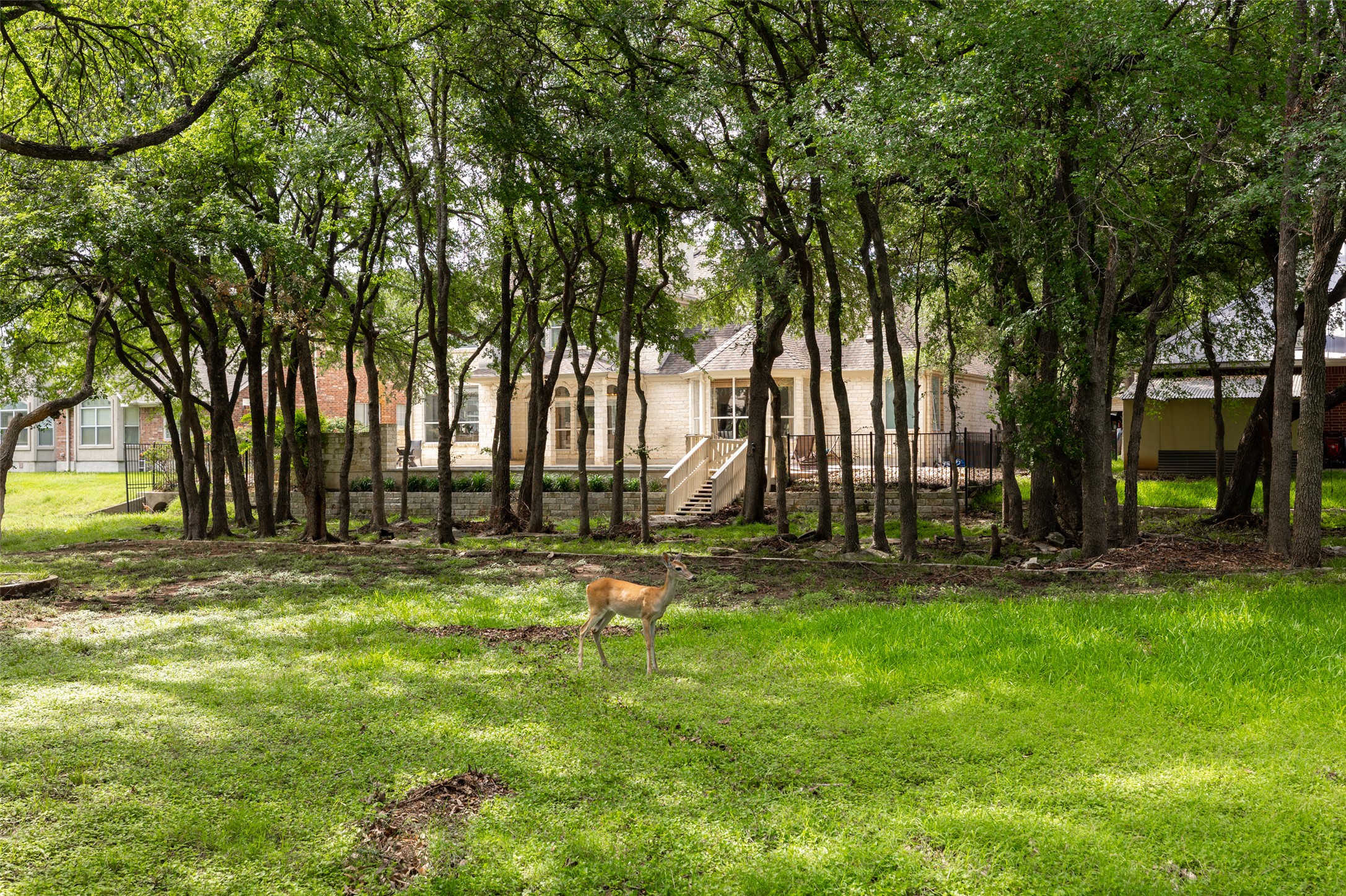 main property photo 38