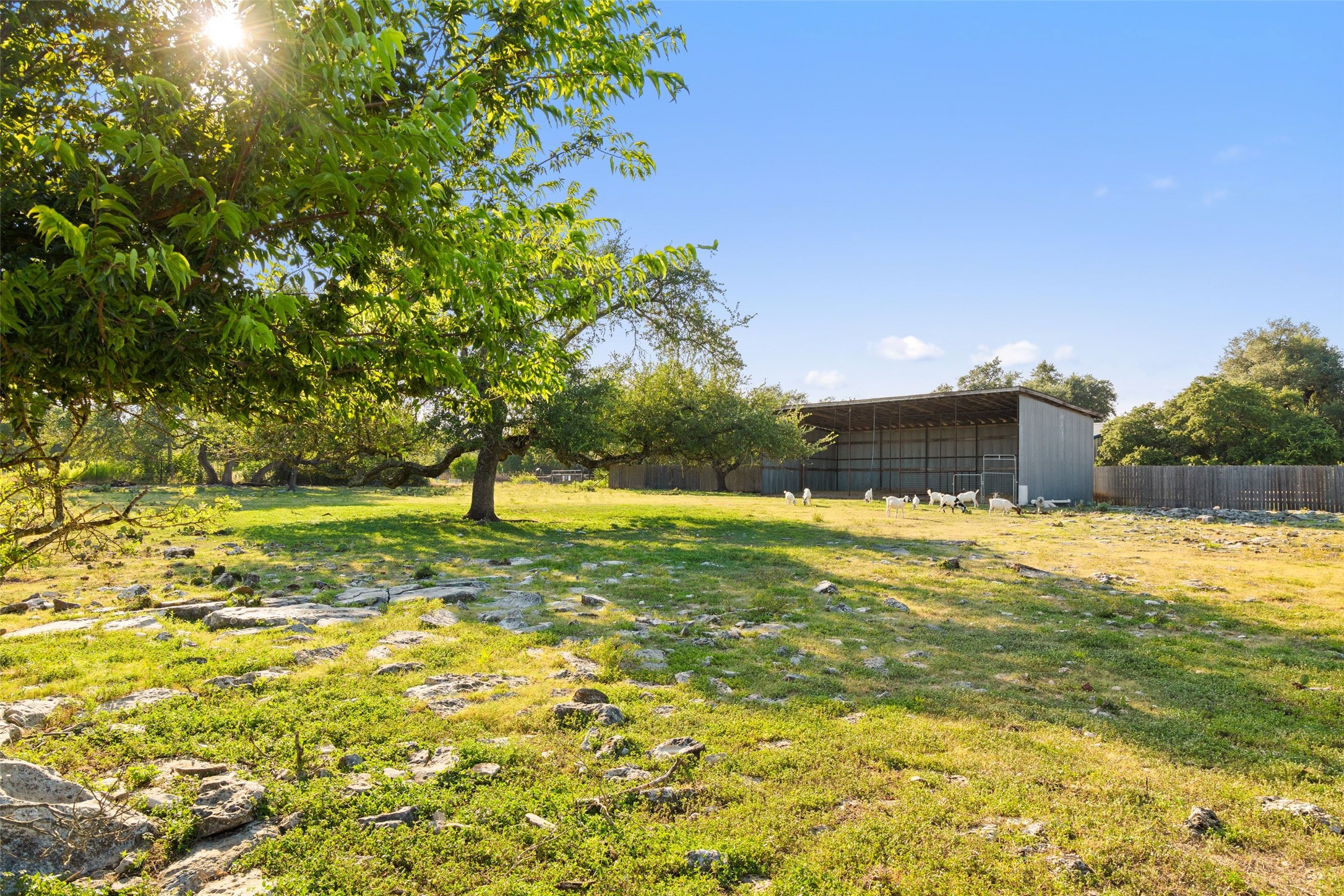 main property photo 34