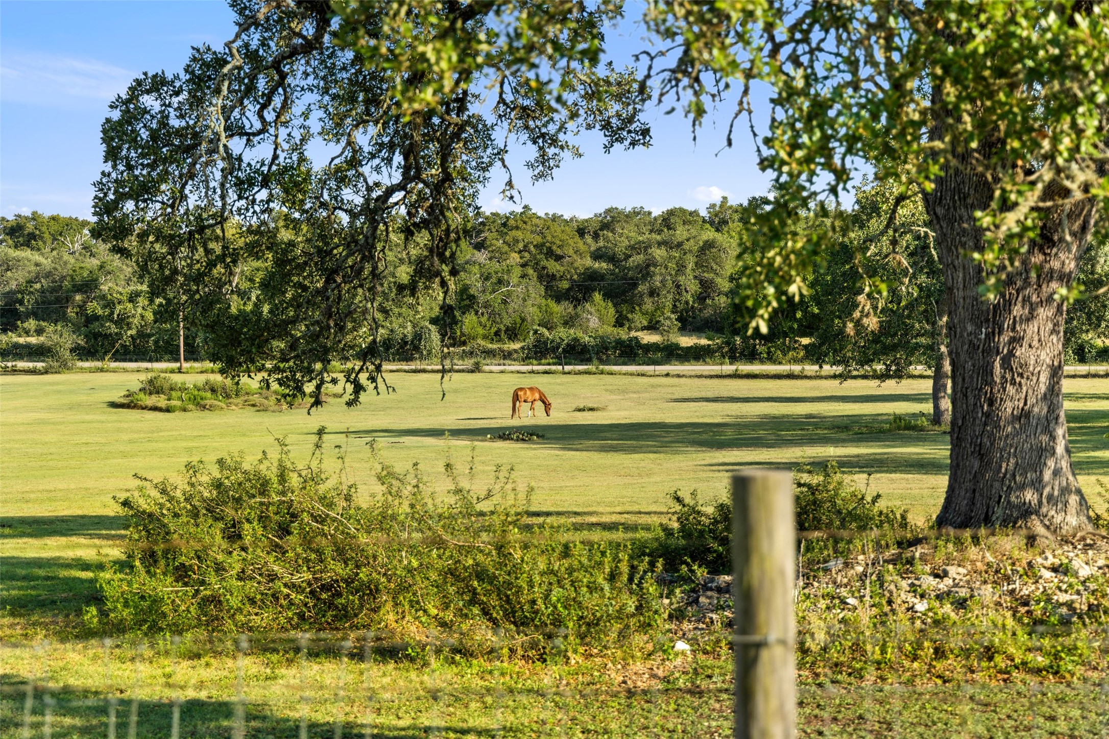 main property photo 37