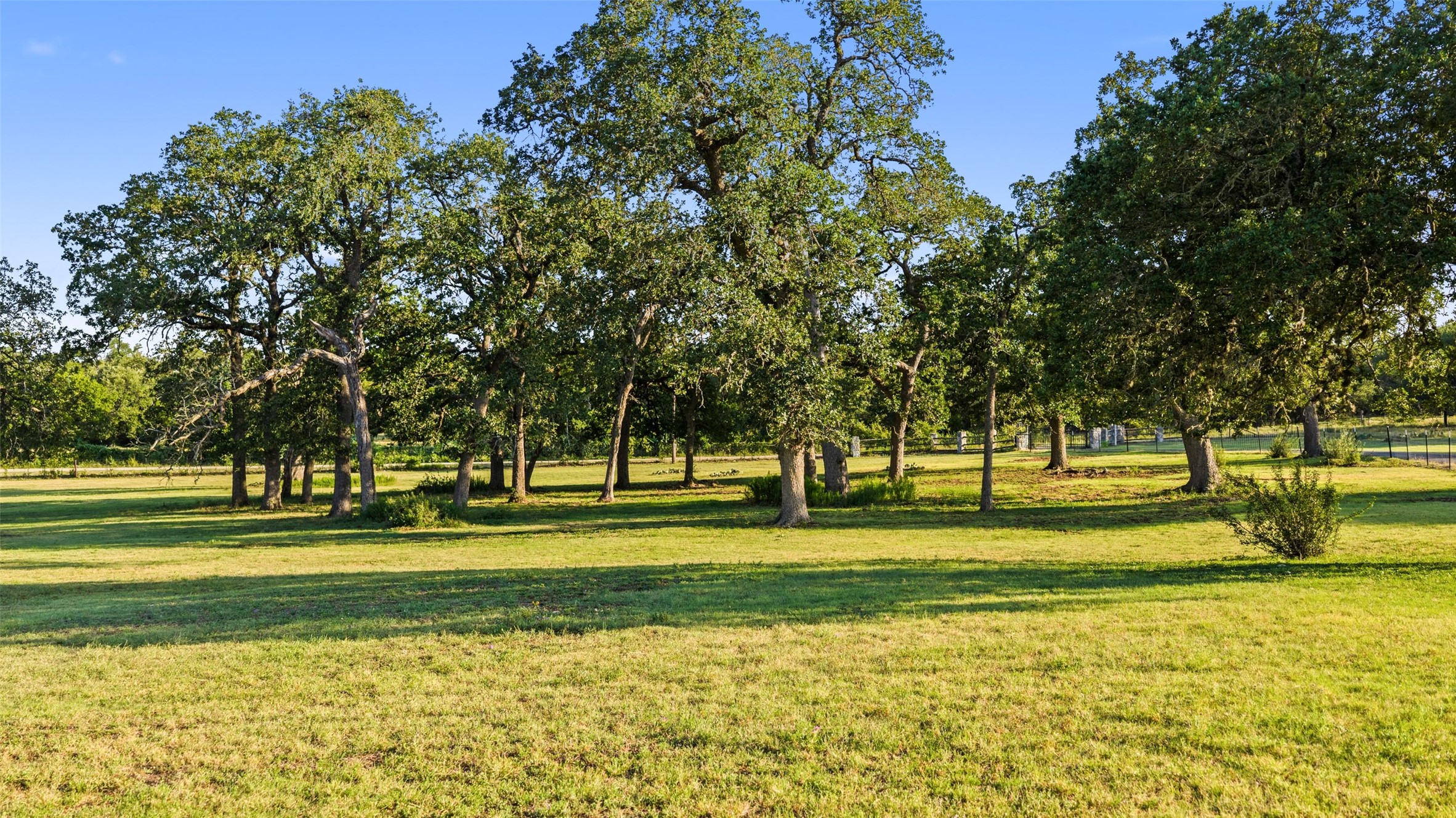 main property photo 39