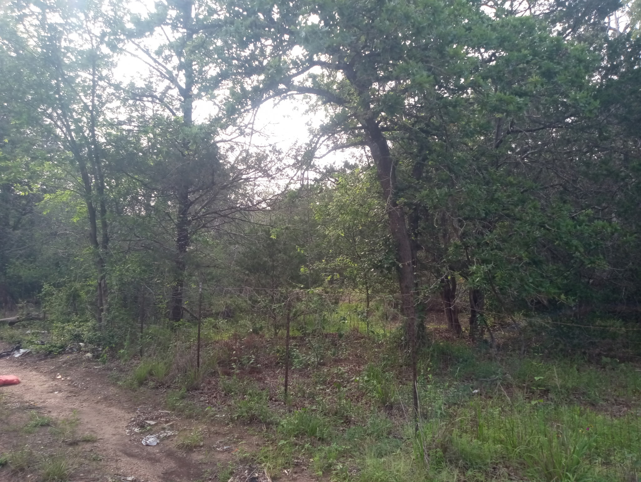 main property photo 11