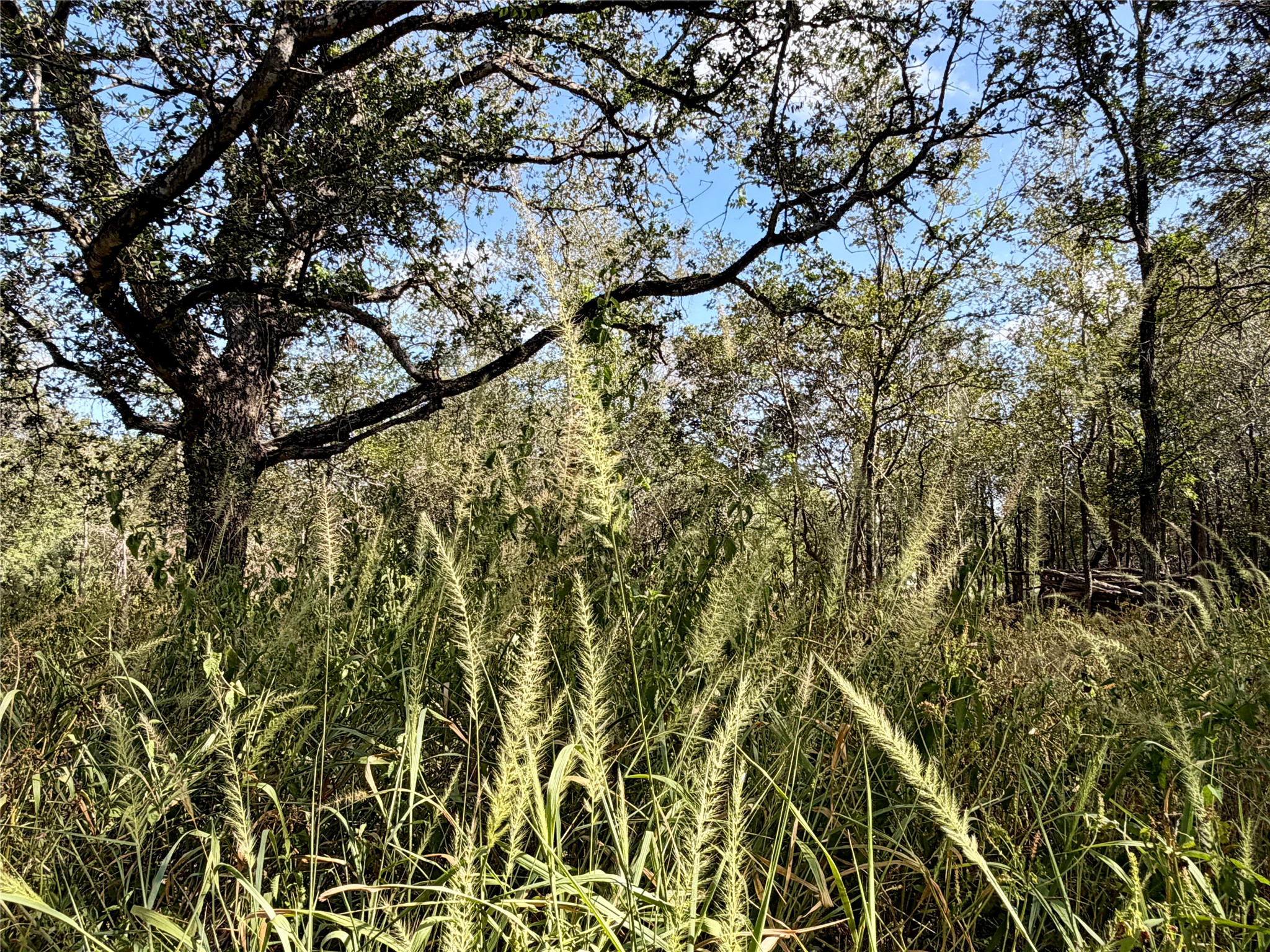 main property photo 11