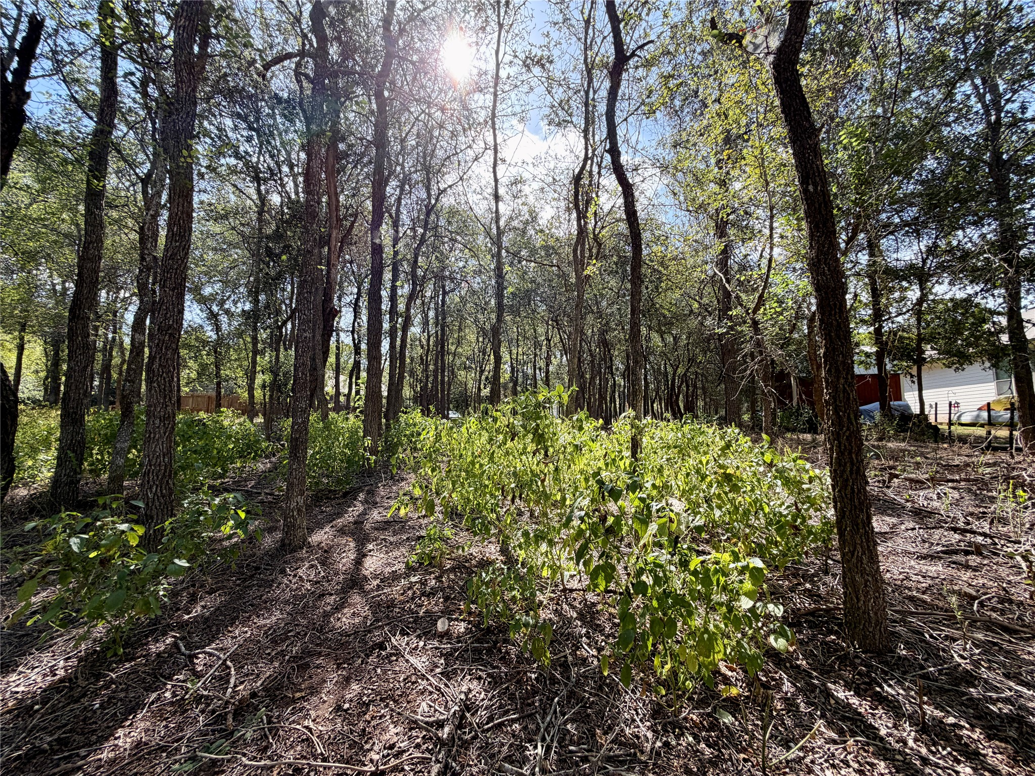 main property photo 17