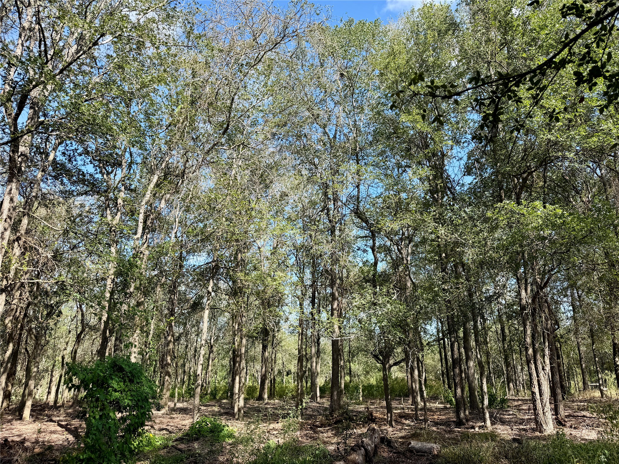 main property photo 18