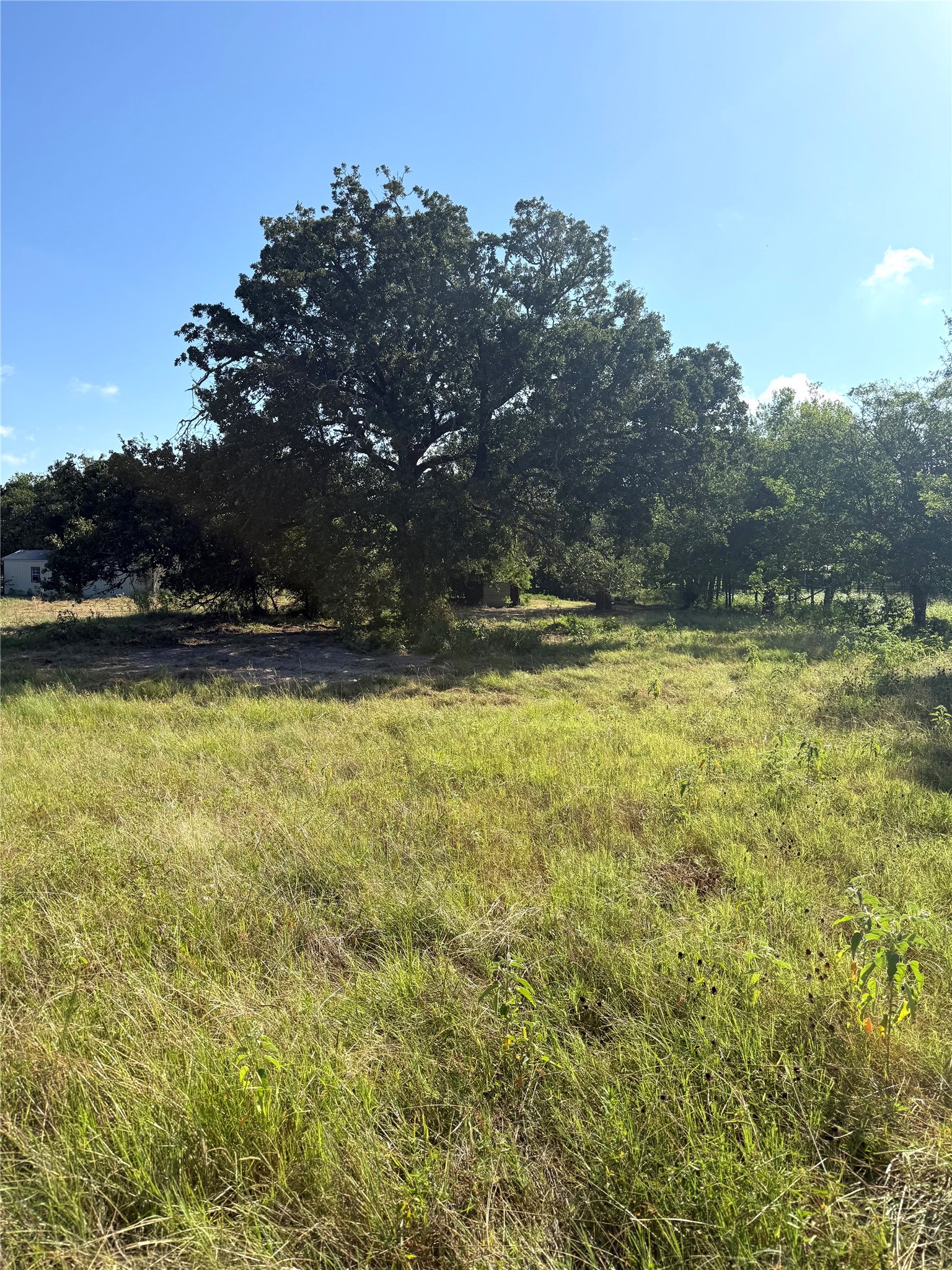main property photo 21