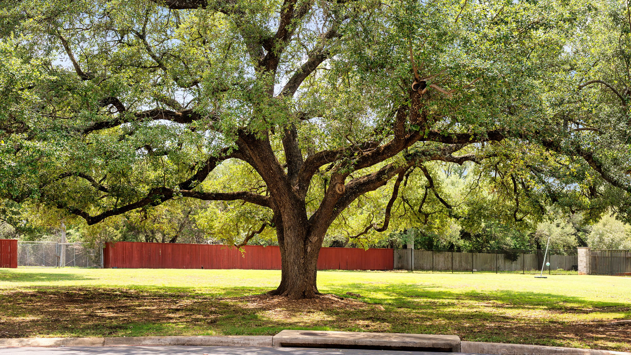 main property photo 21