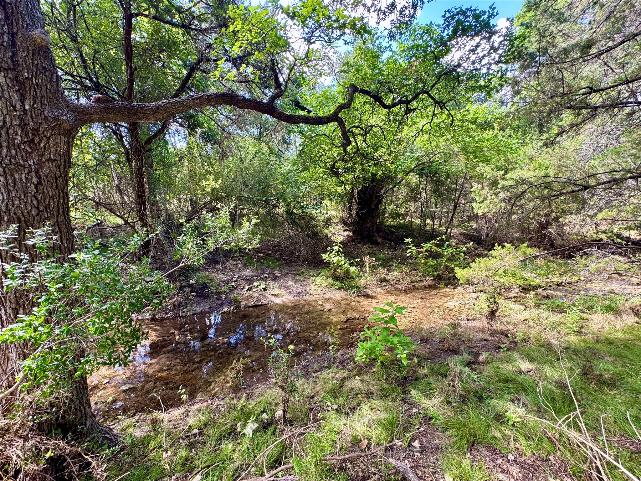 main property photo 16