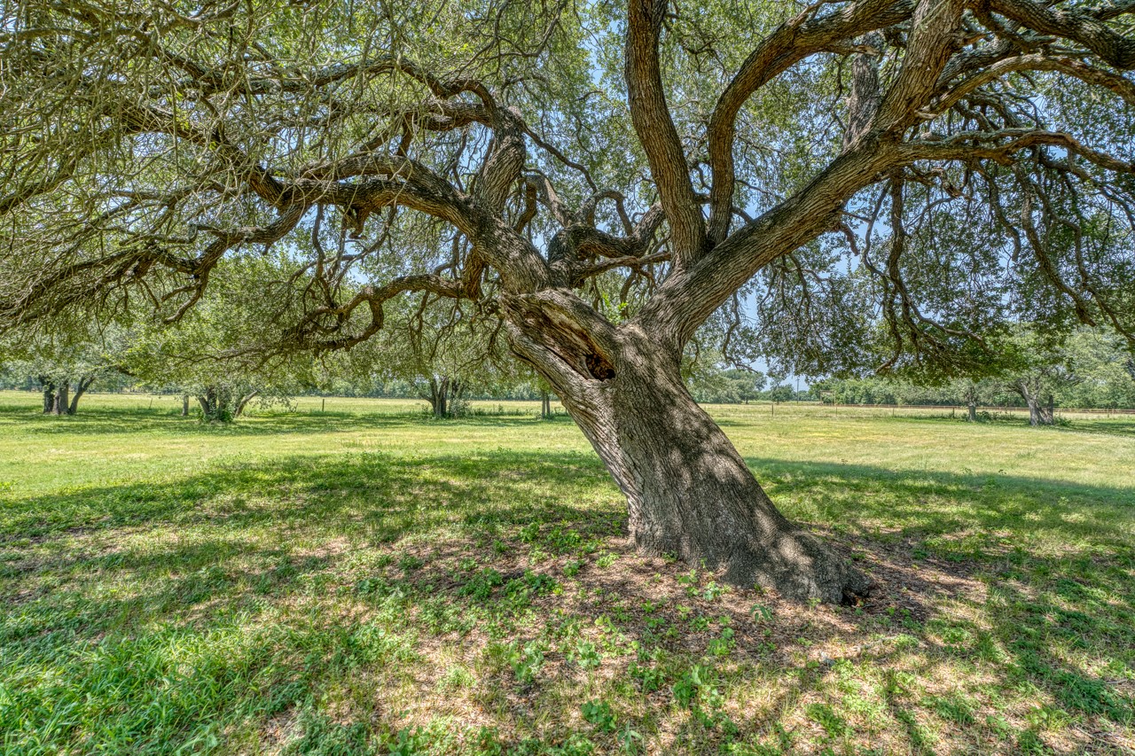 main property photo 11