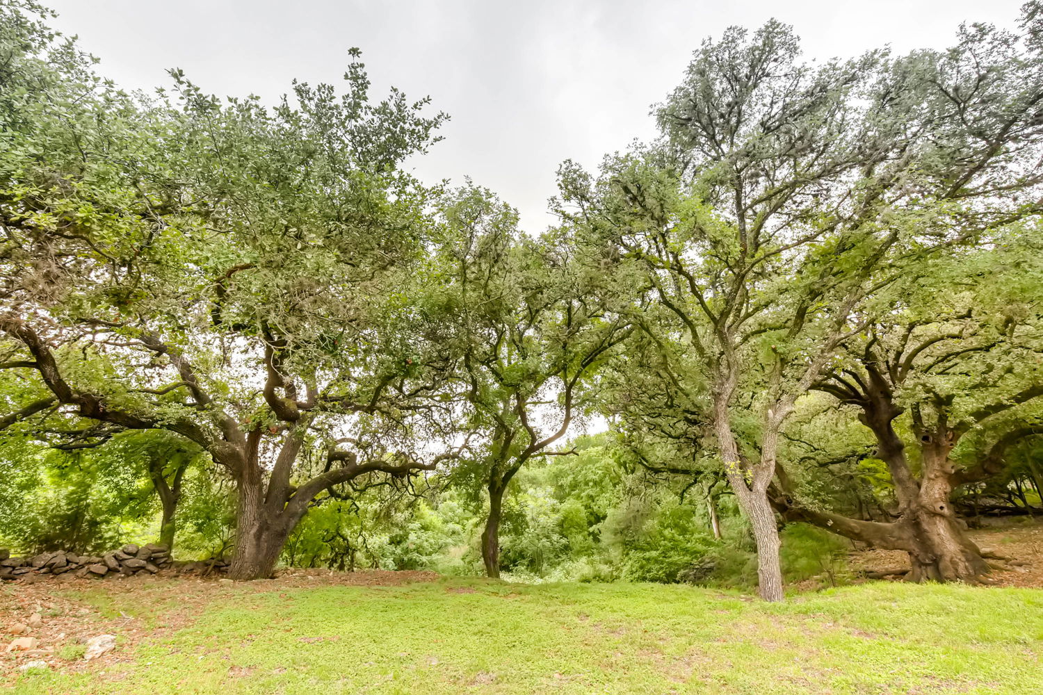 main property photo 24