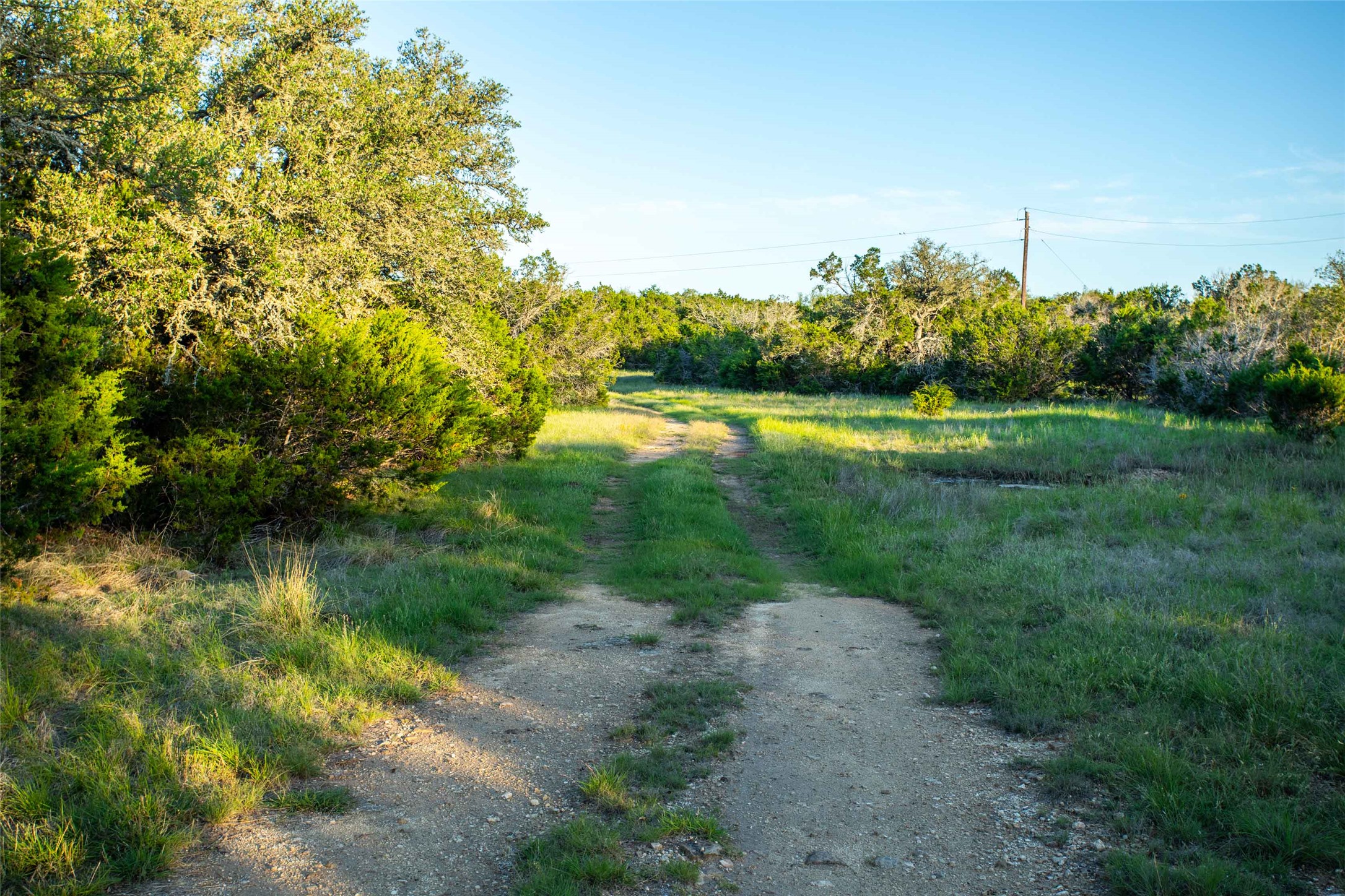 main property photo 14