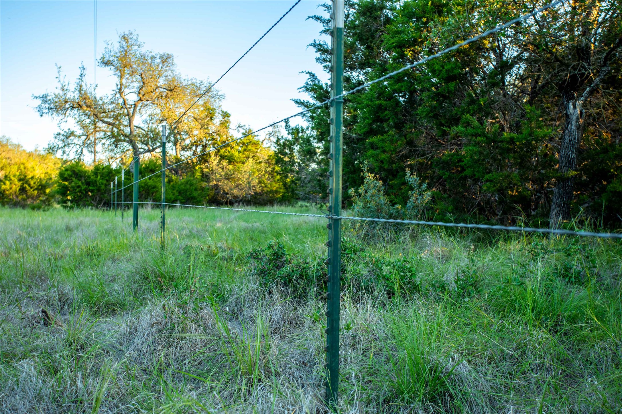 main property photo 21