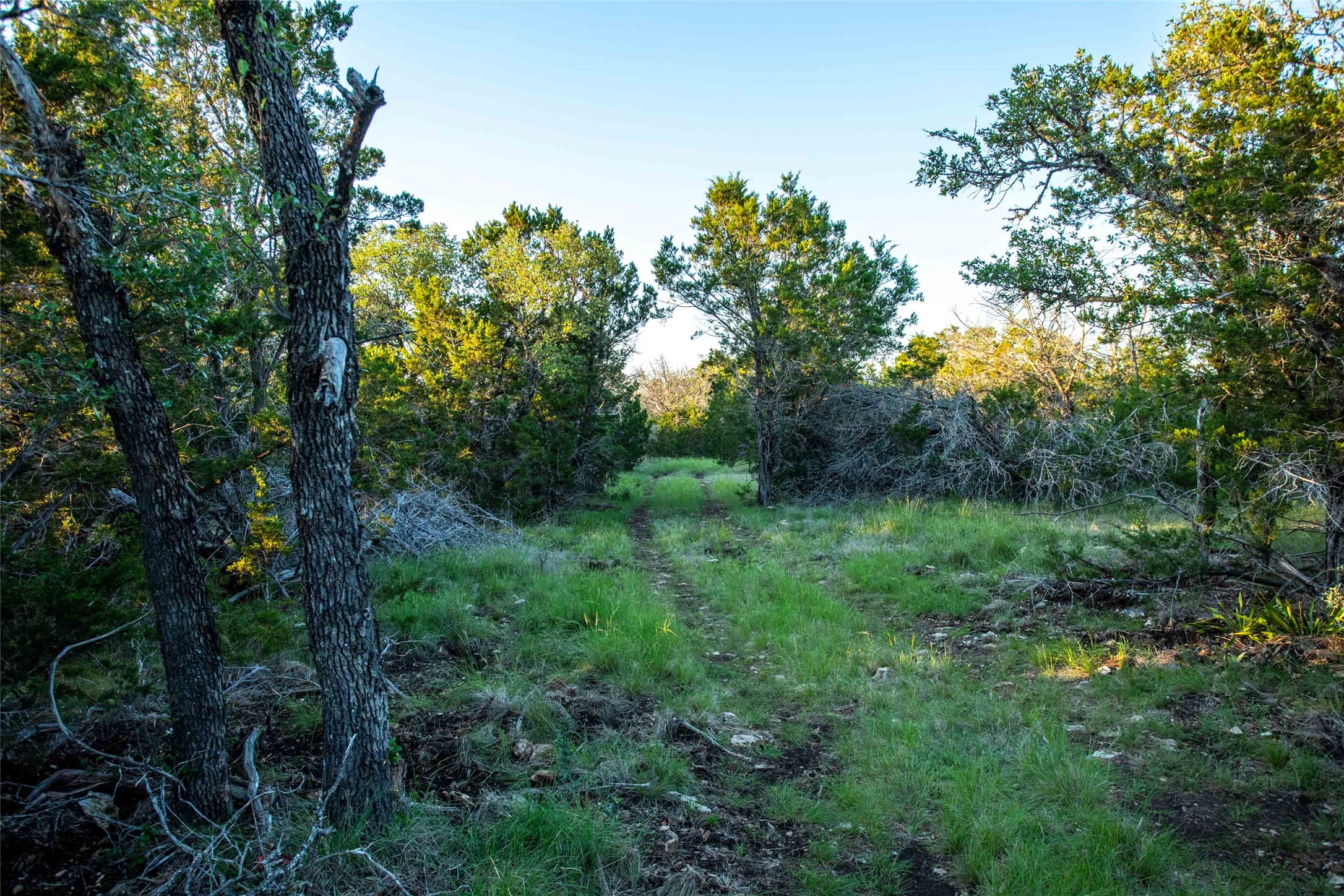 main property photo 23
