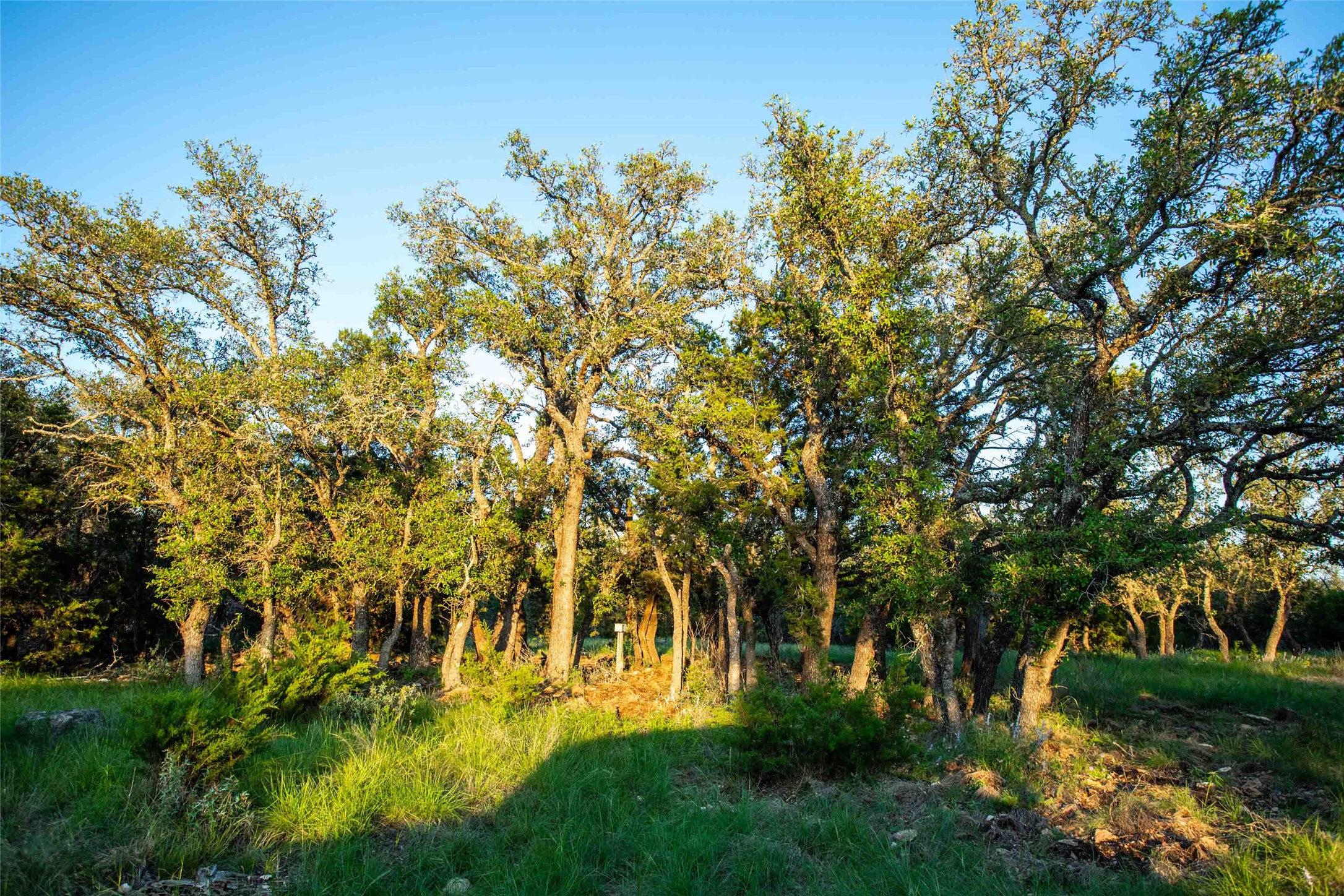 main property photo 25