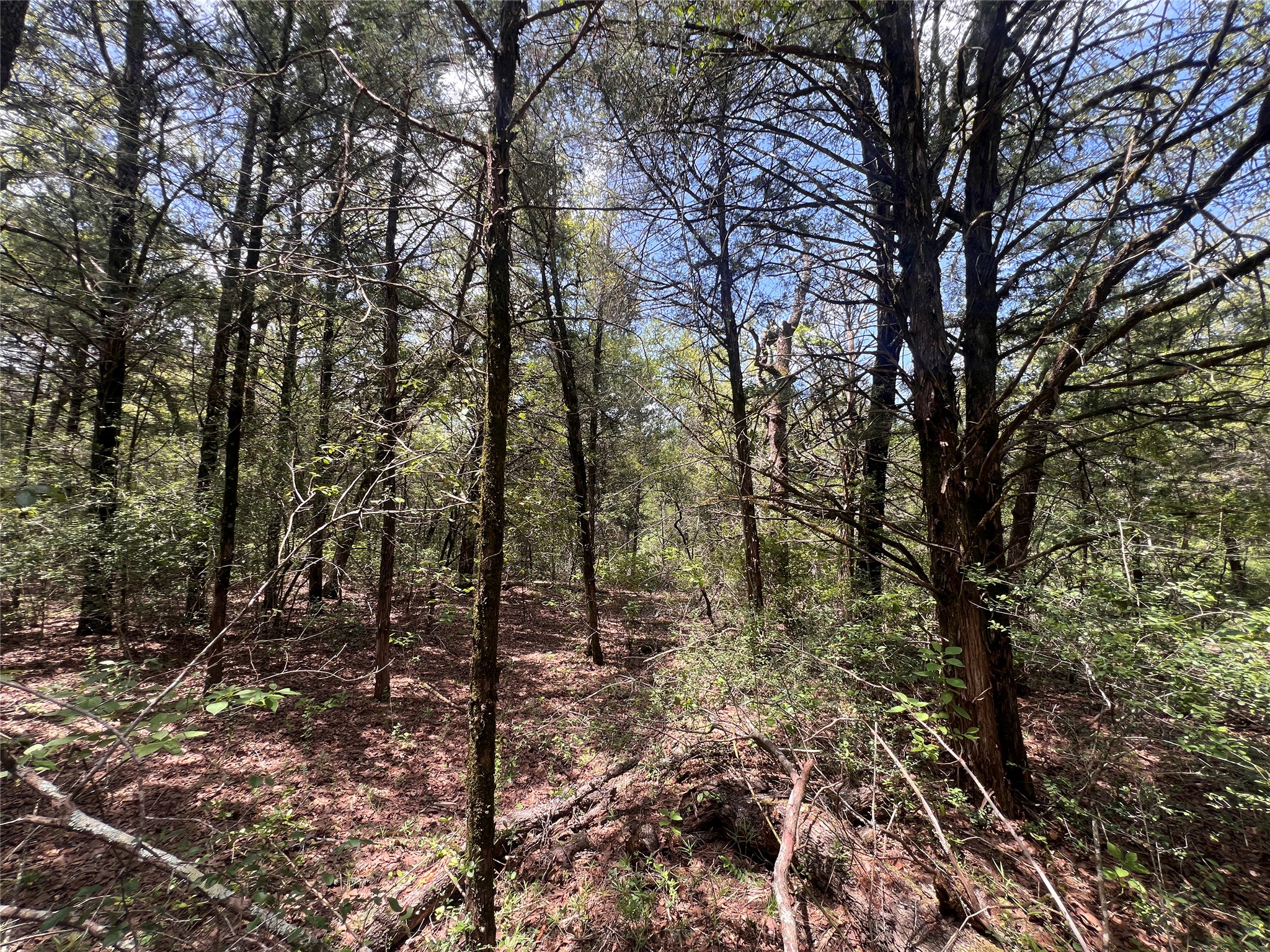 main property photo 10