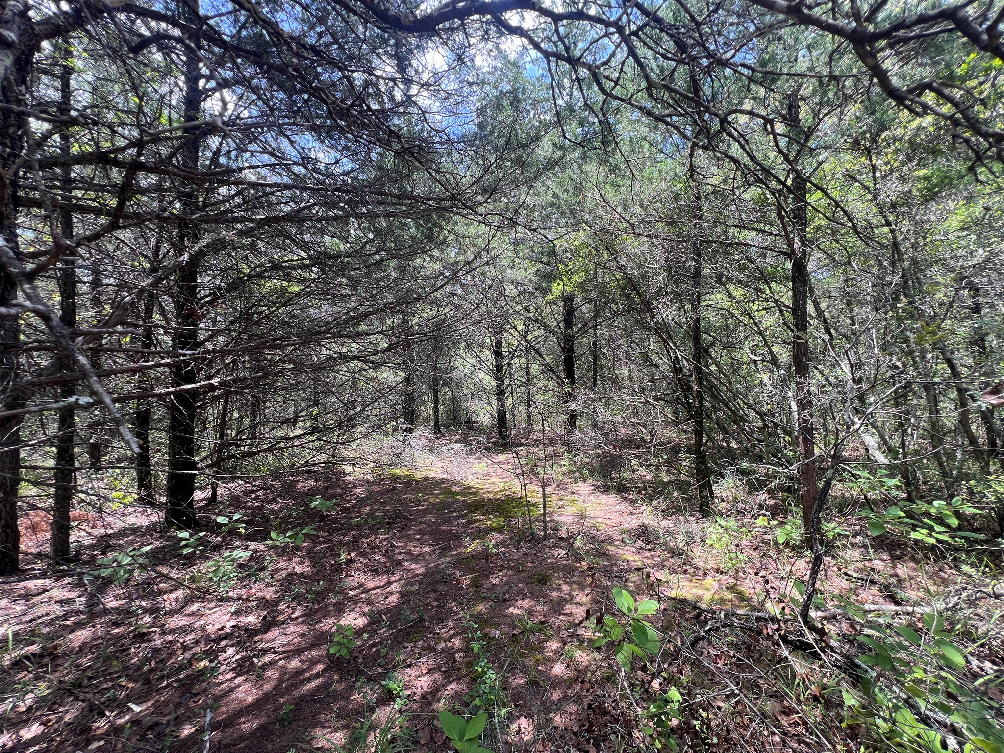 main property photo 11