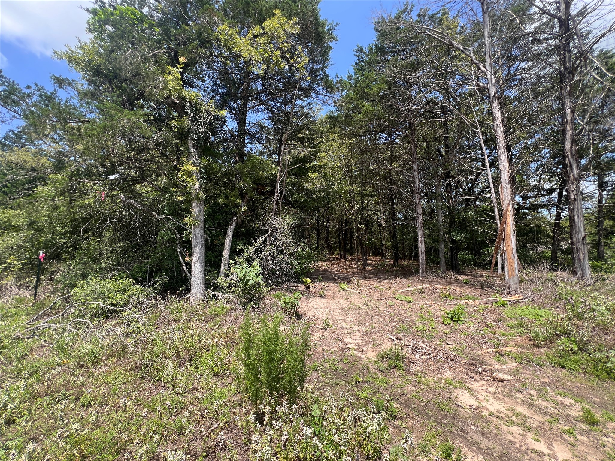 main property photo 14