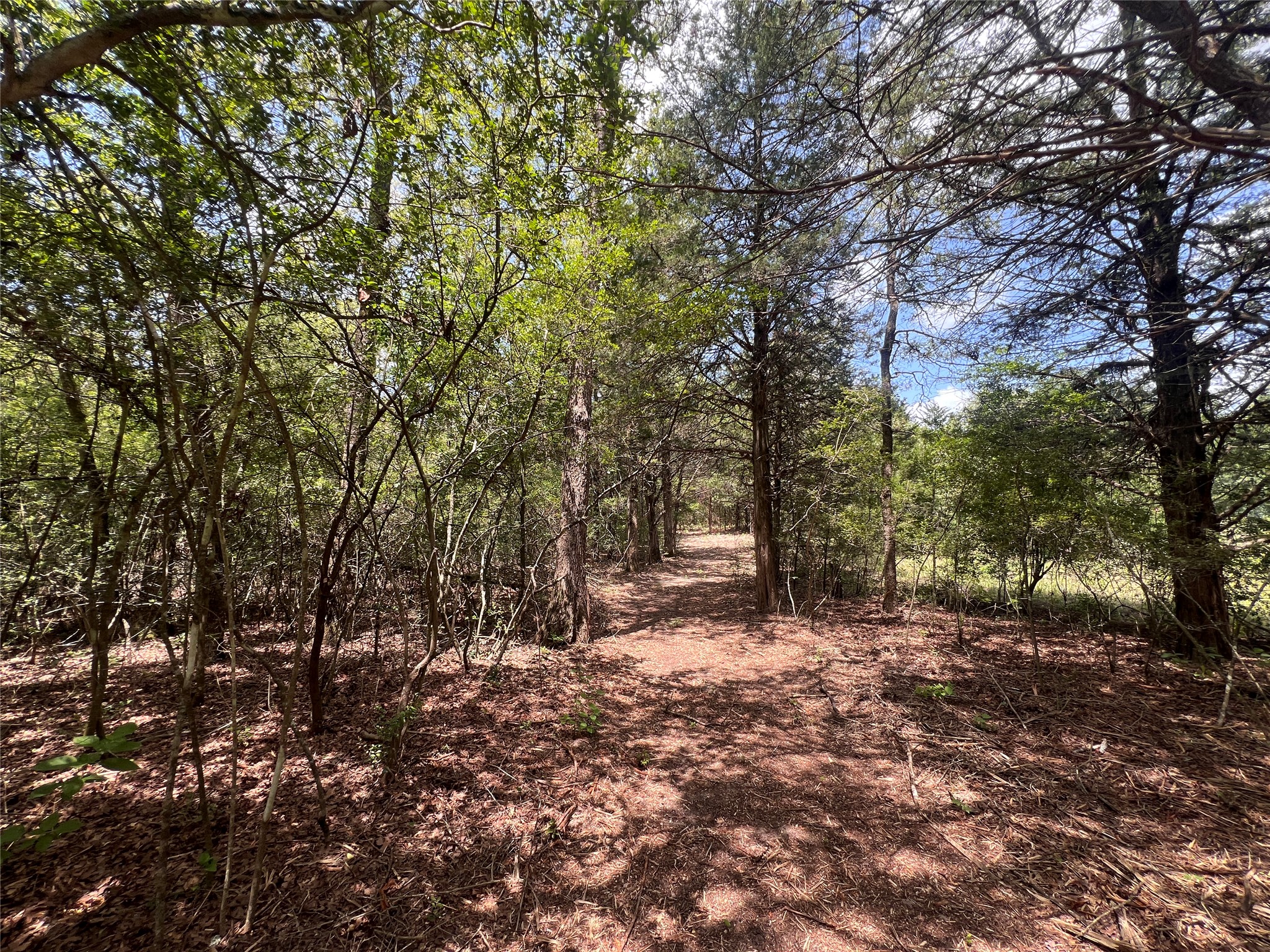 main property photo 8