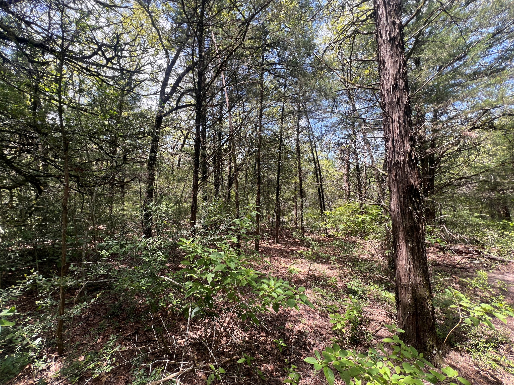 main property photo 9