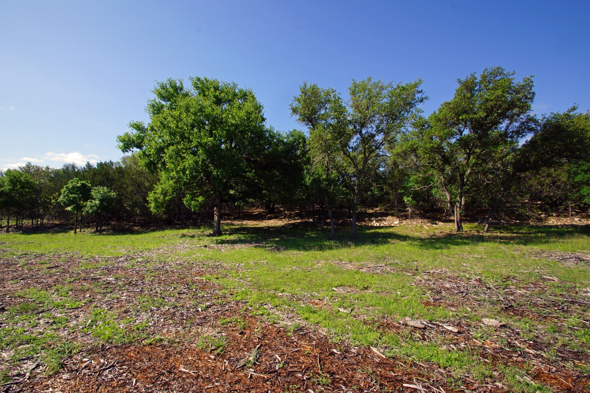 main property photo 11