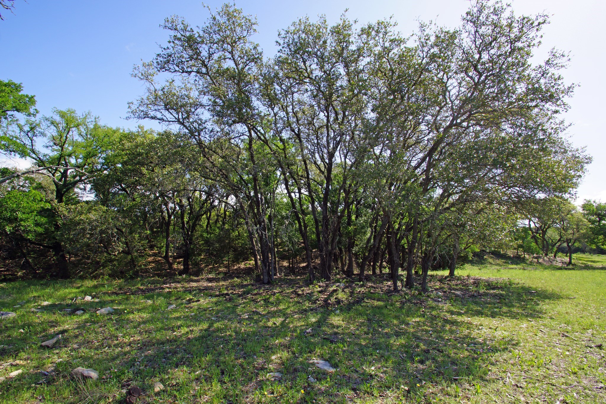 main property photo 12
