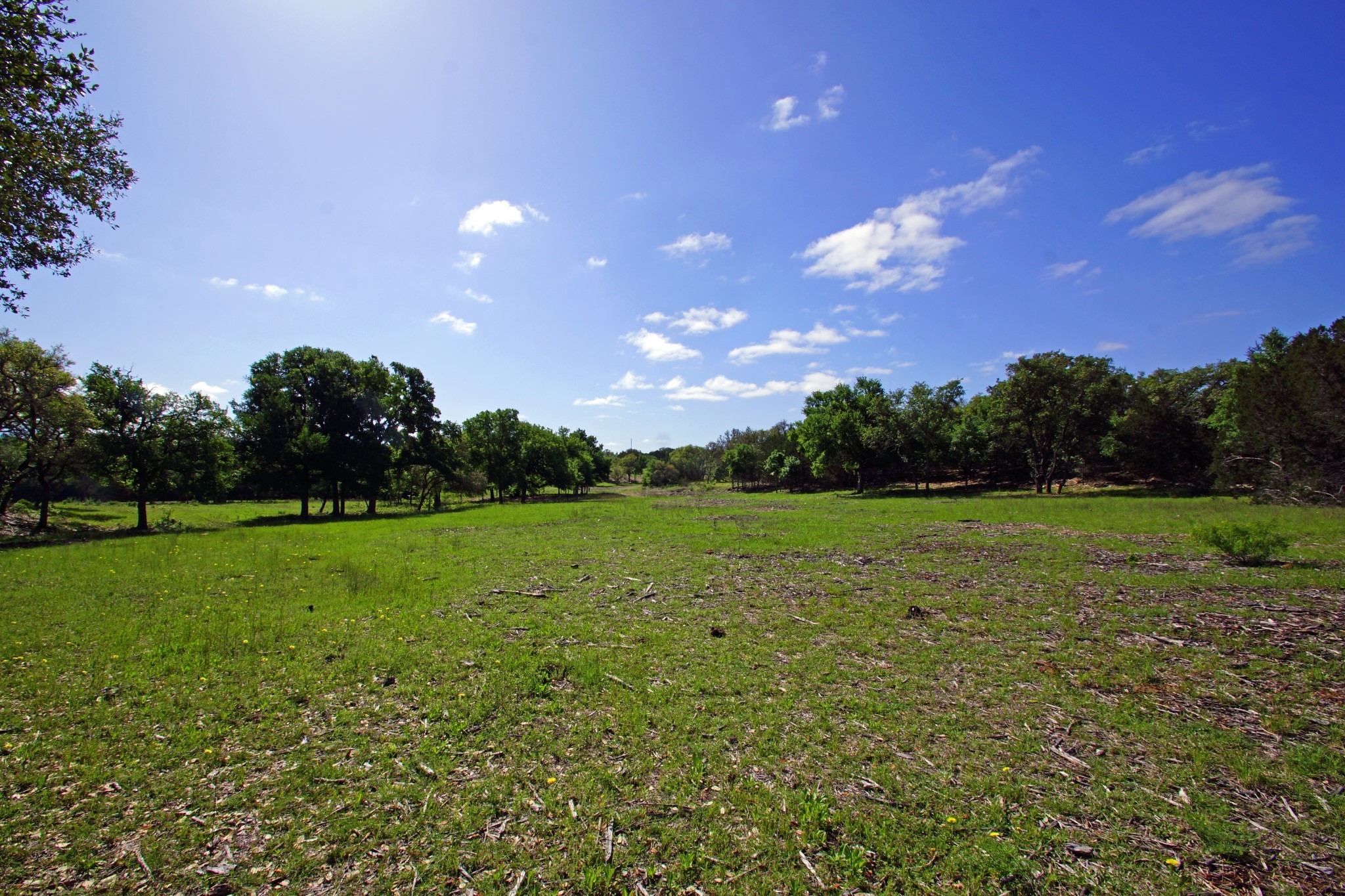 main property photo 14