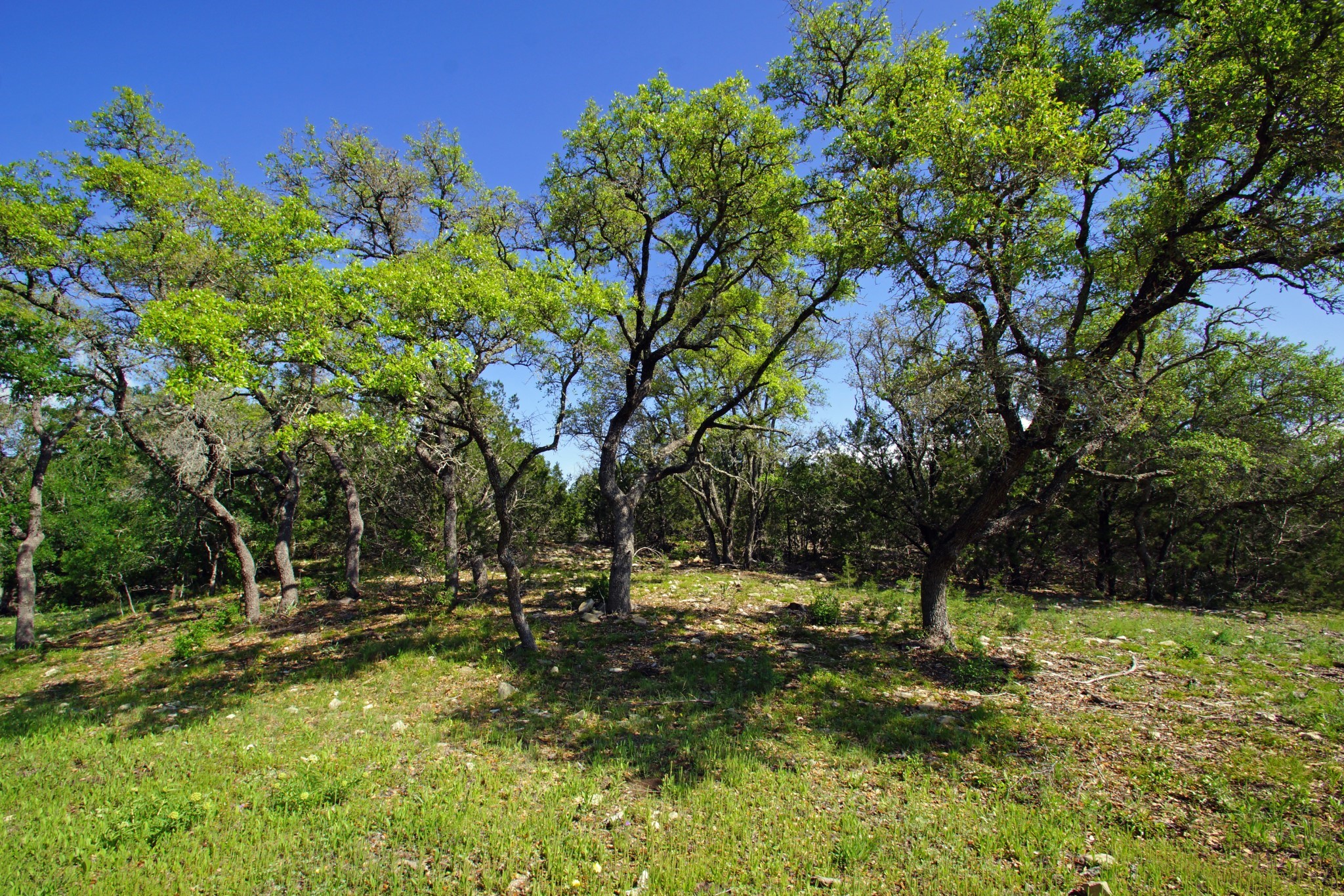 main property photo 15