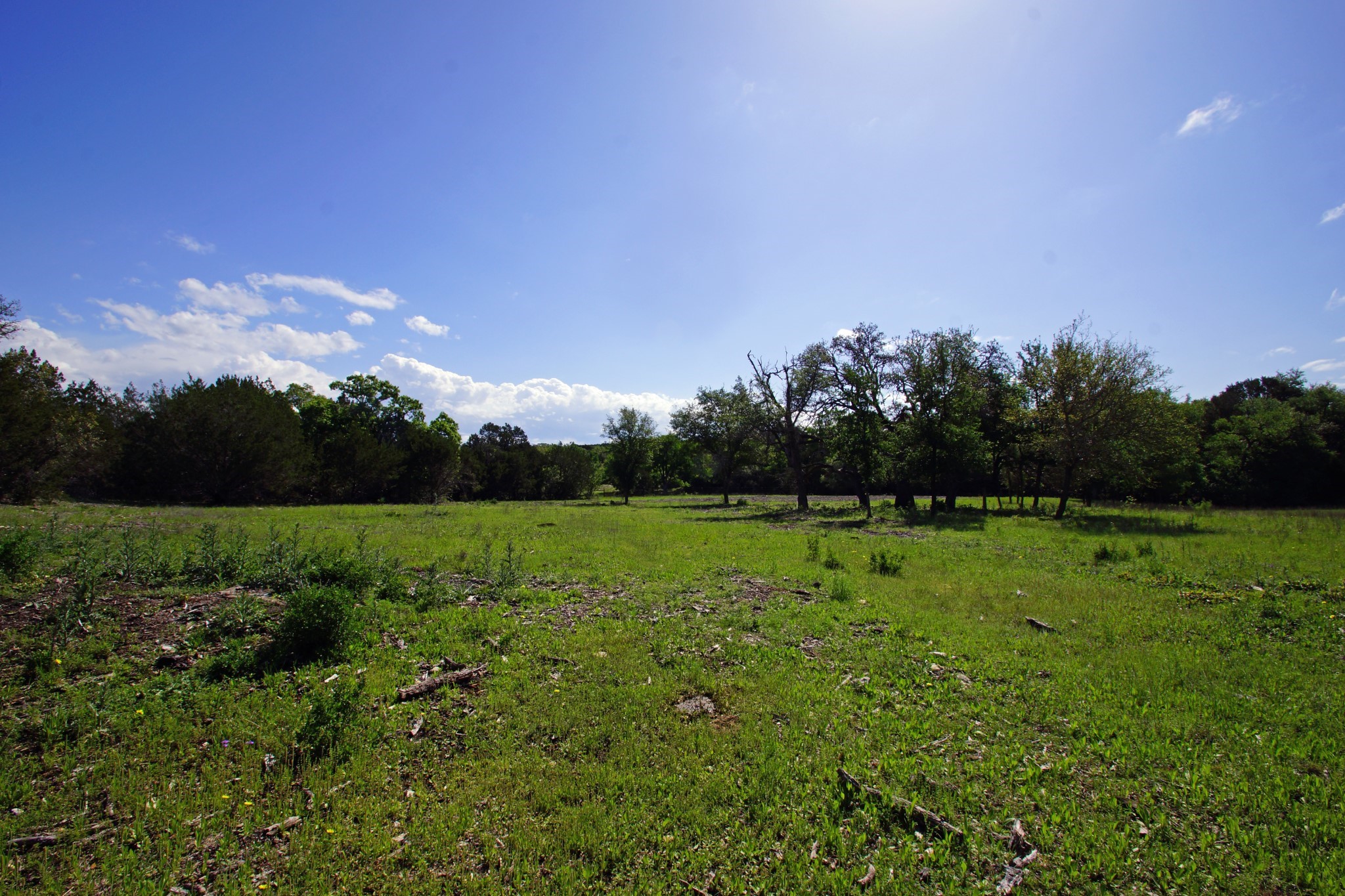 main property photo 17