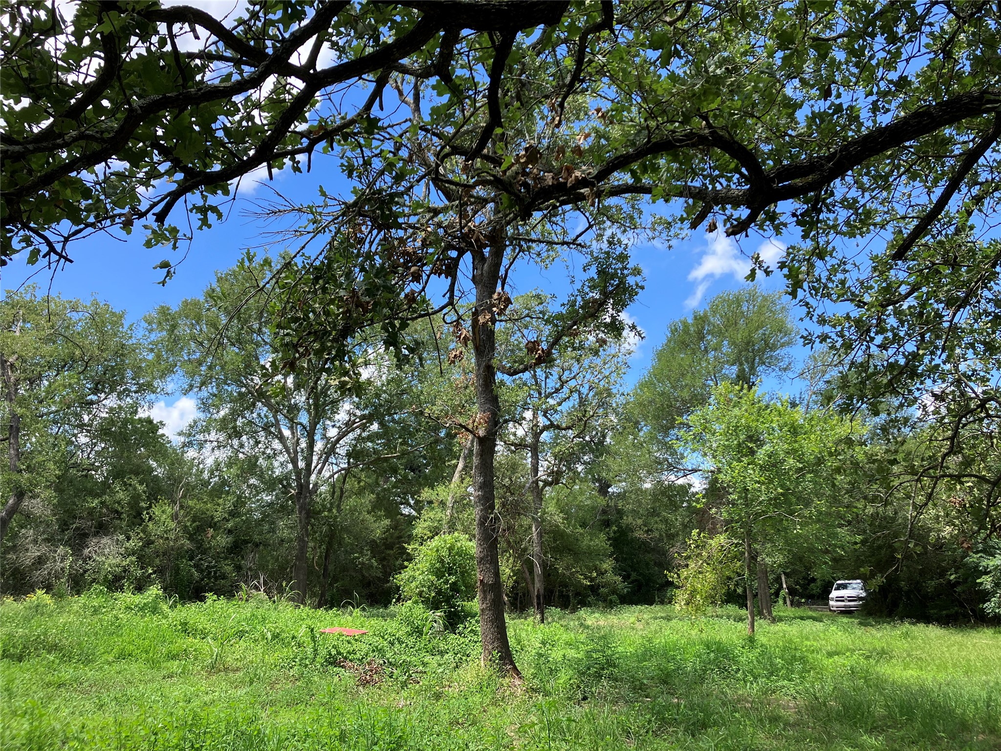 main property photo 8