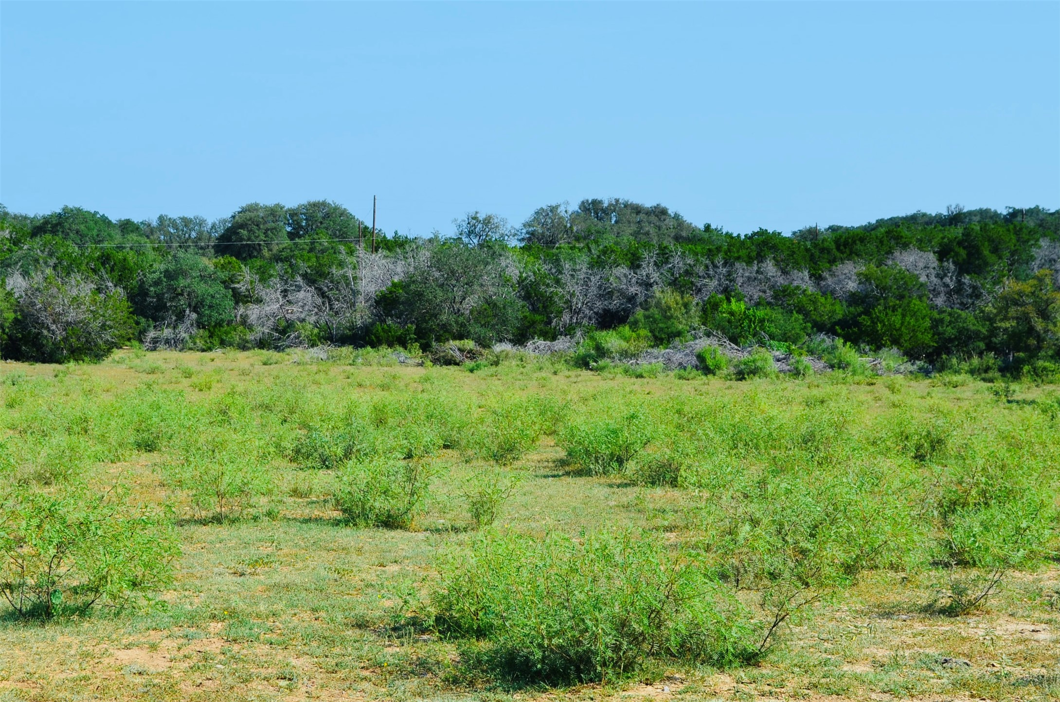 main property photo 16