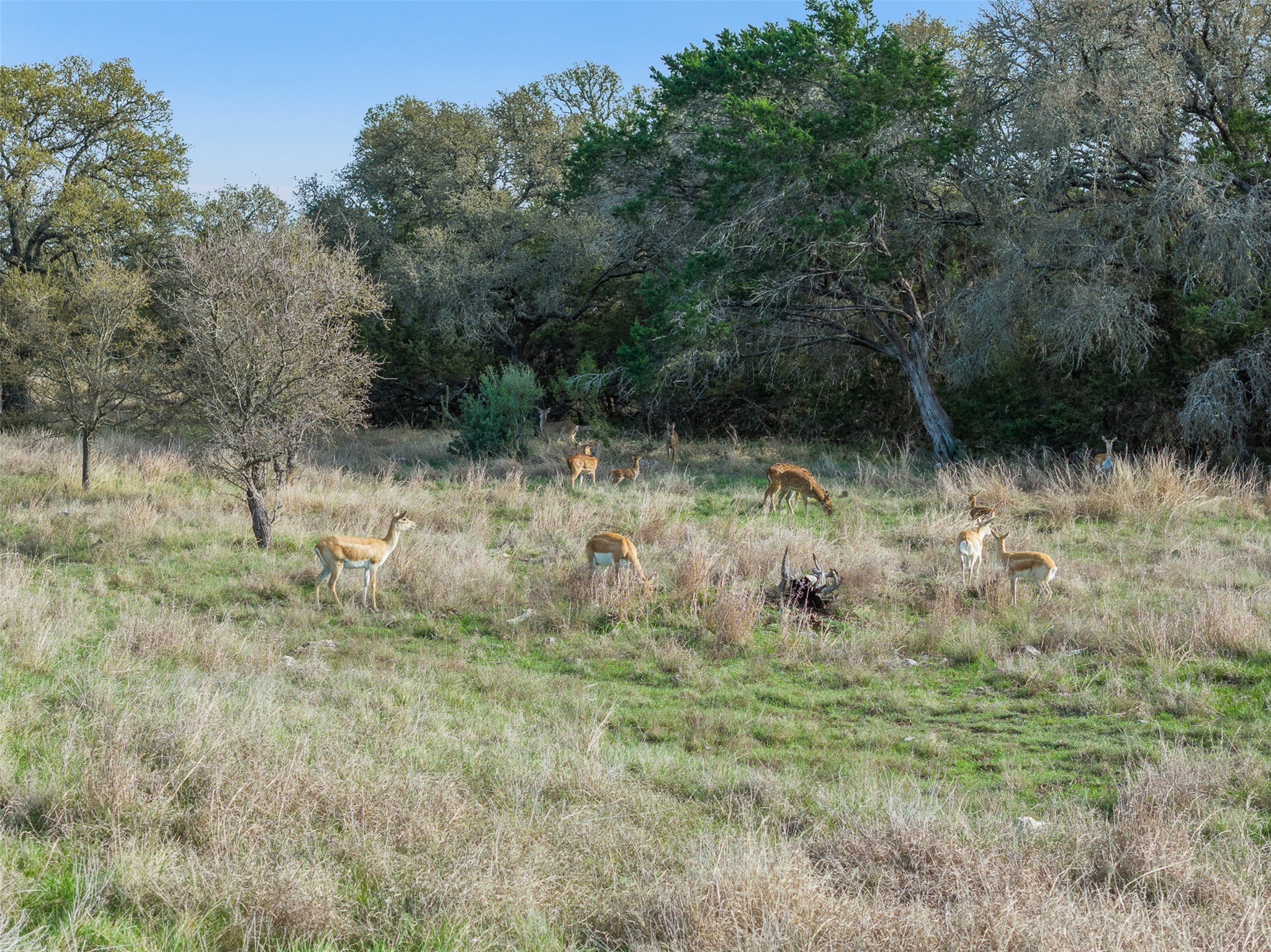 main property photo 33