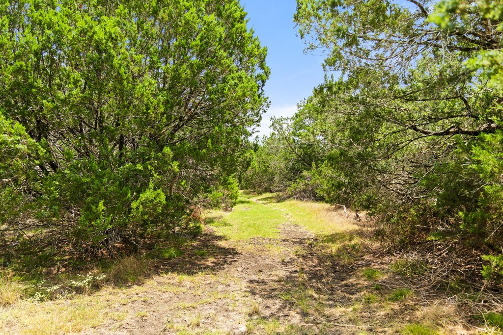 main property photo 10
