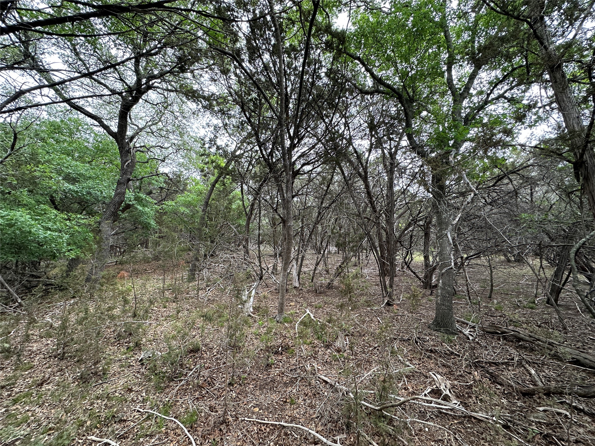 main property photo 21