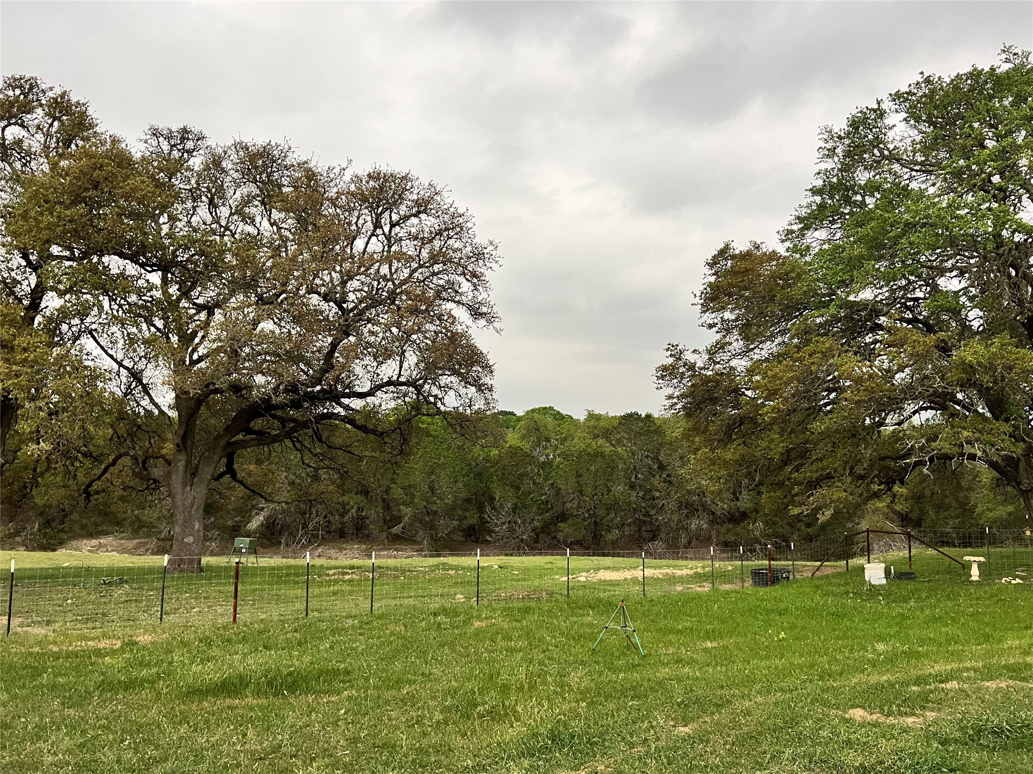 main property photo 35