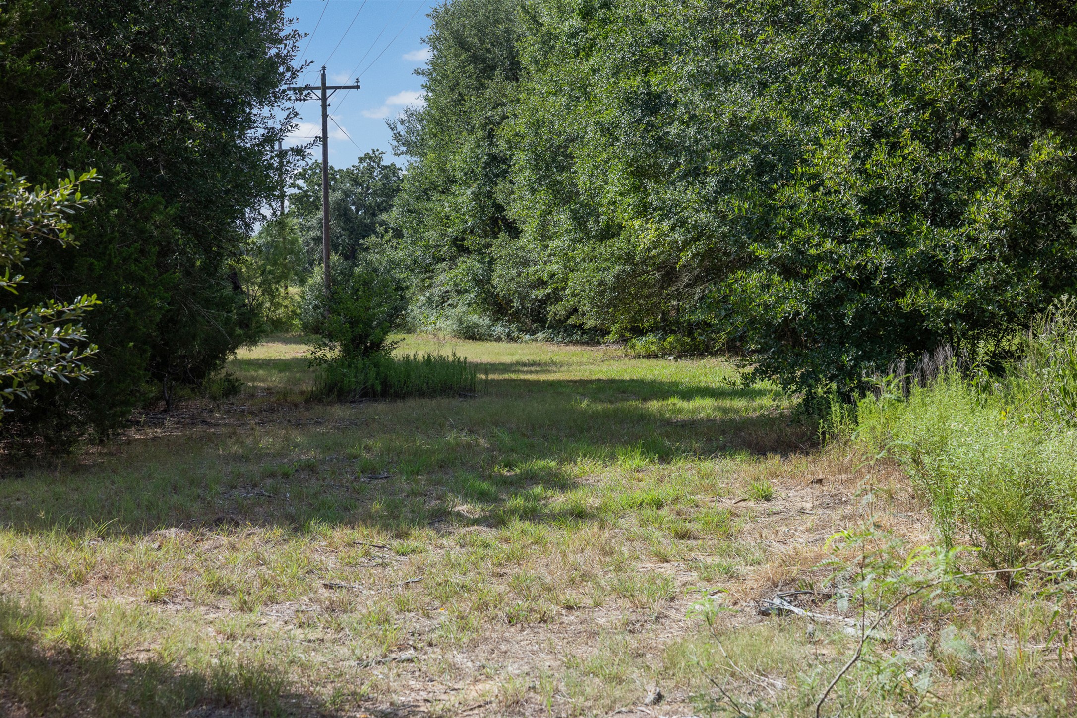 main property photo 8