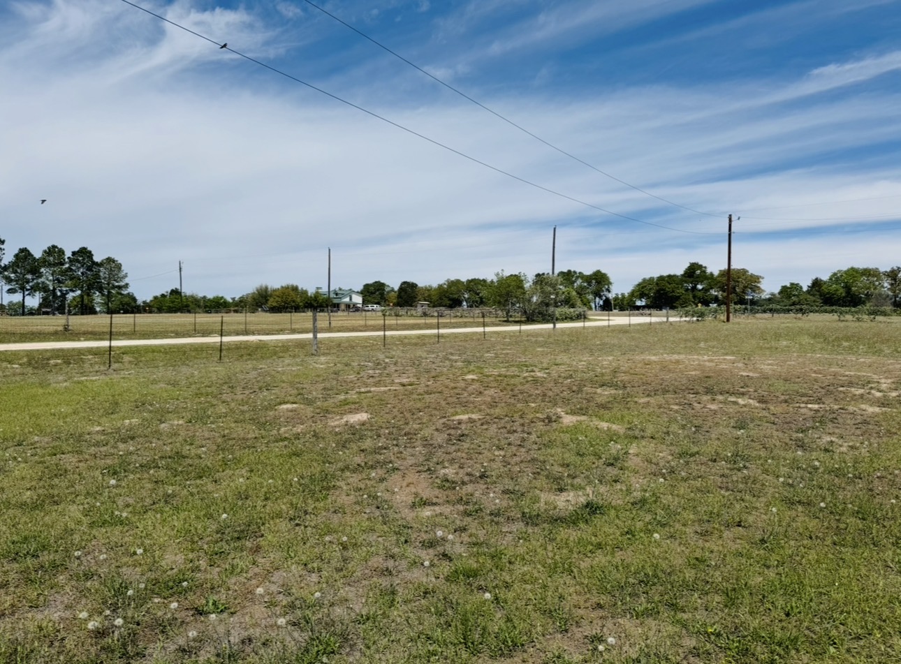 main property photo 33