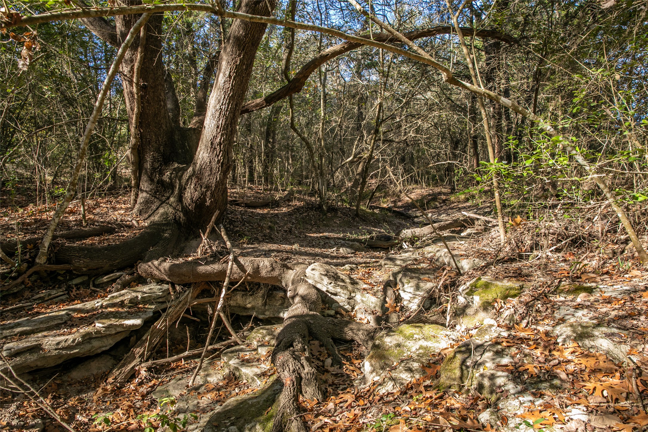 main property photo 22