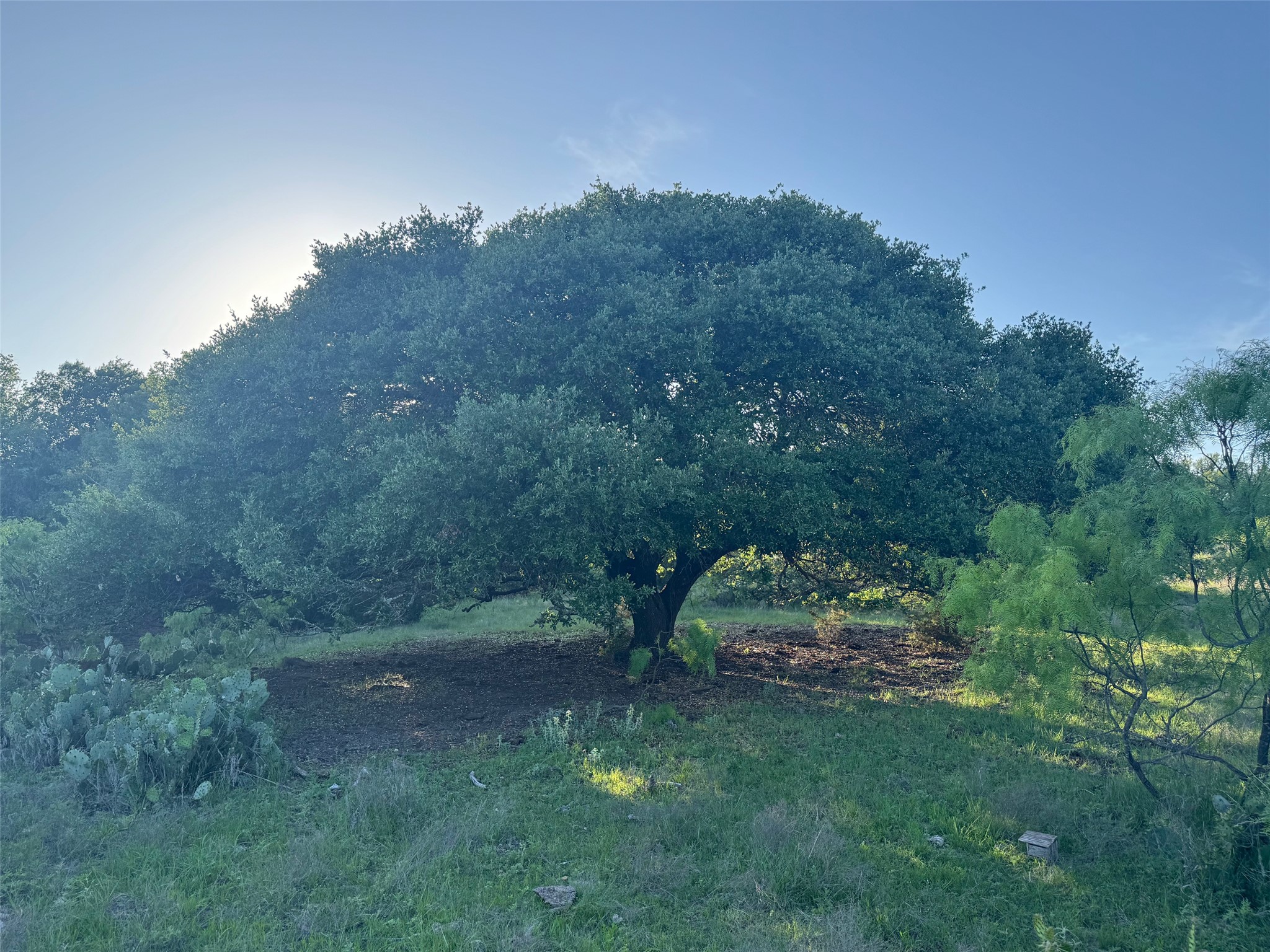 main property photo 14