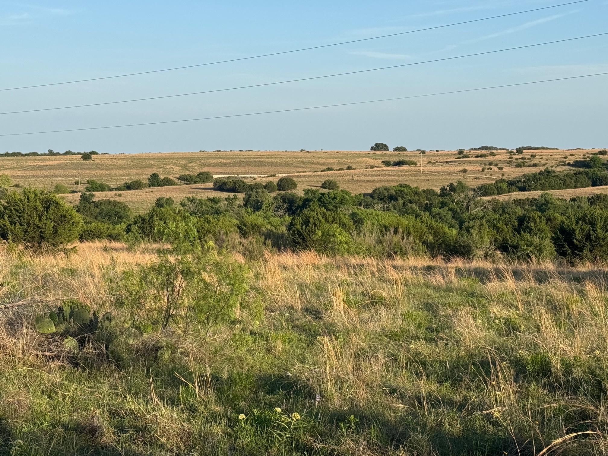 main property photo 21