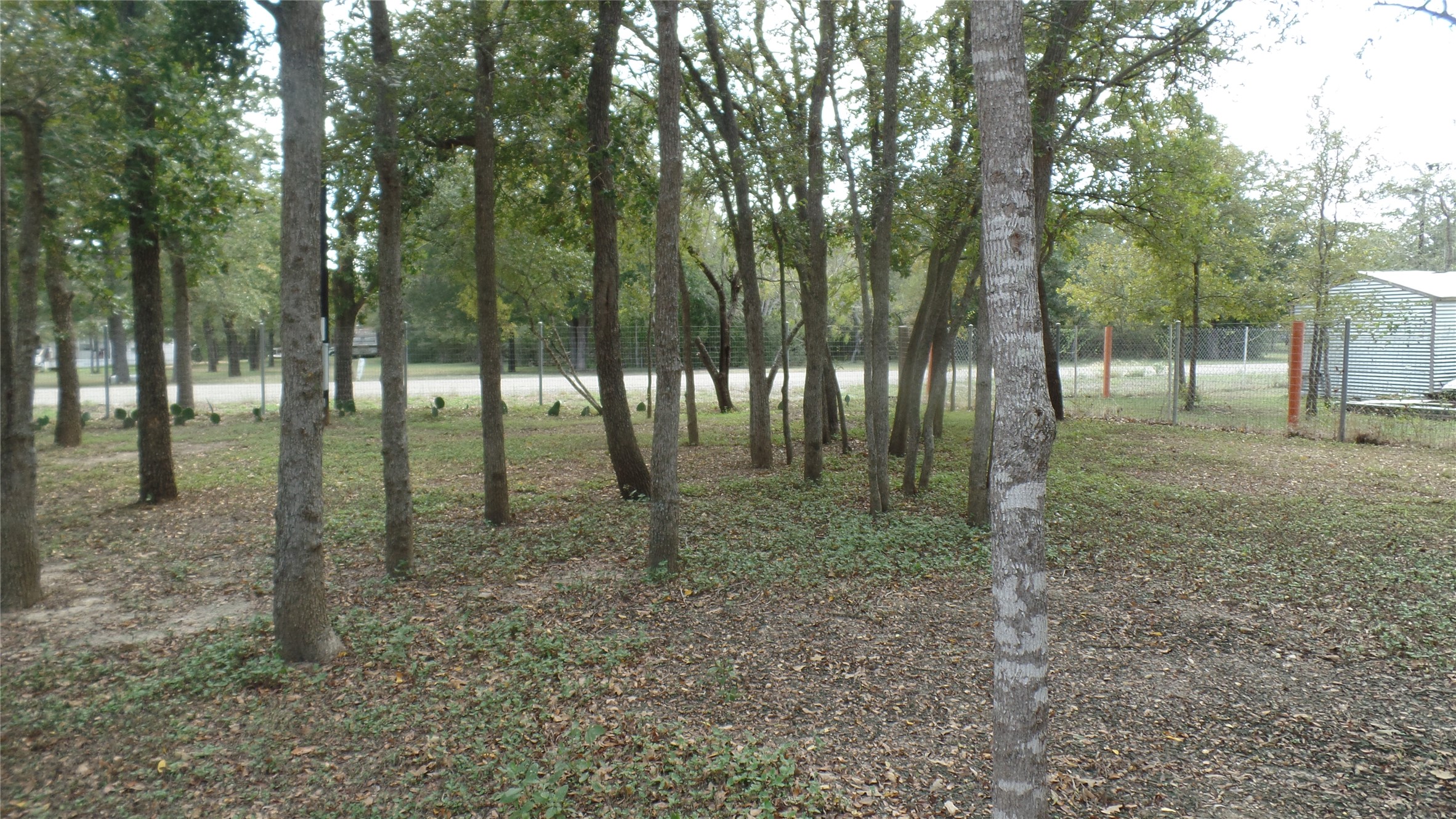 main property photo 24