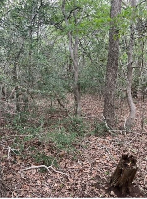 main property photo 9