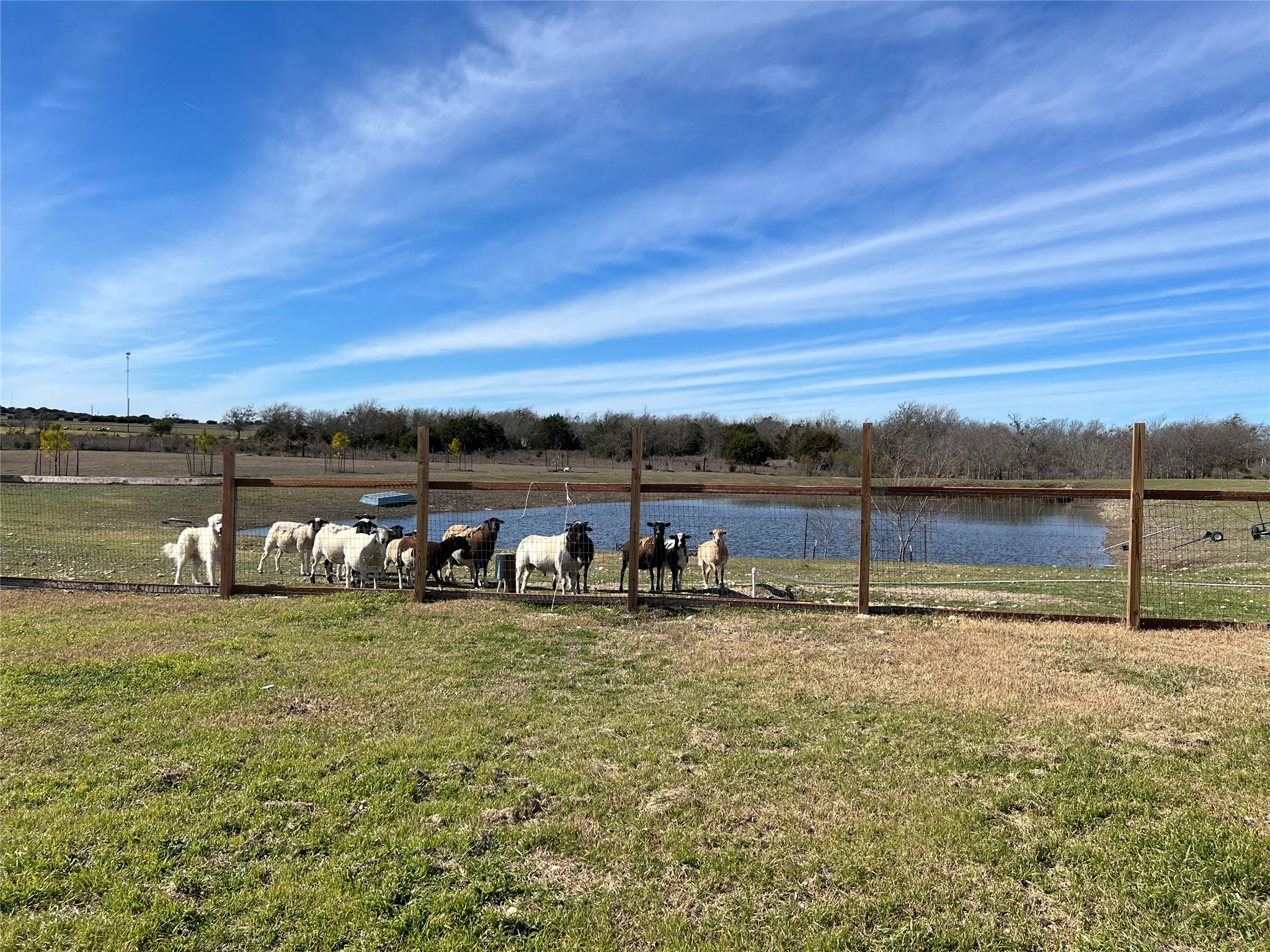 main property photo 22