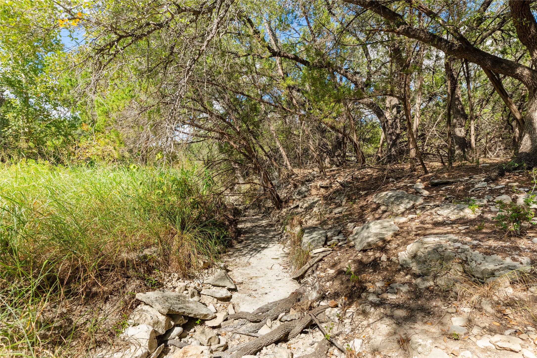 main property photo 10