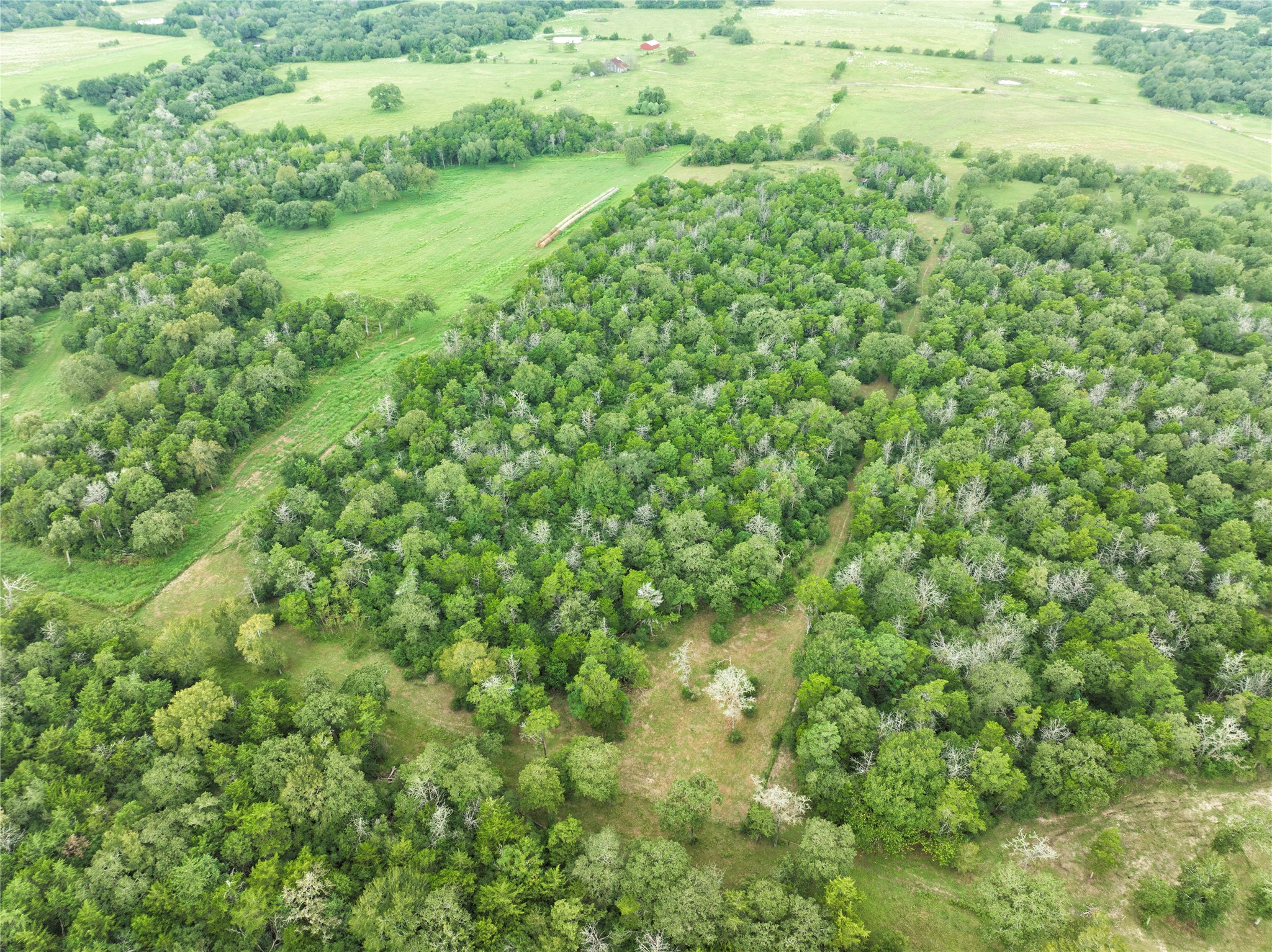 main property photo 10