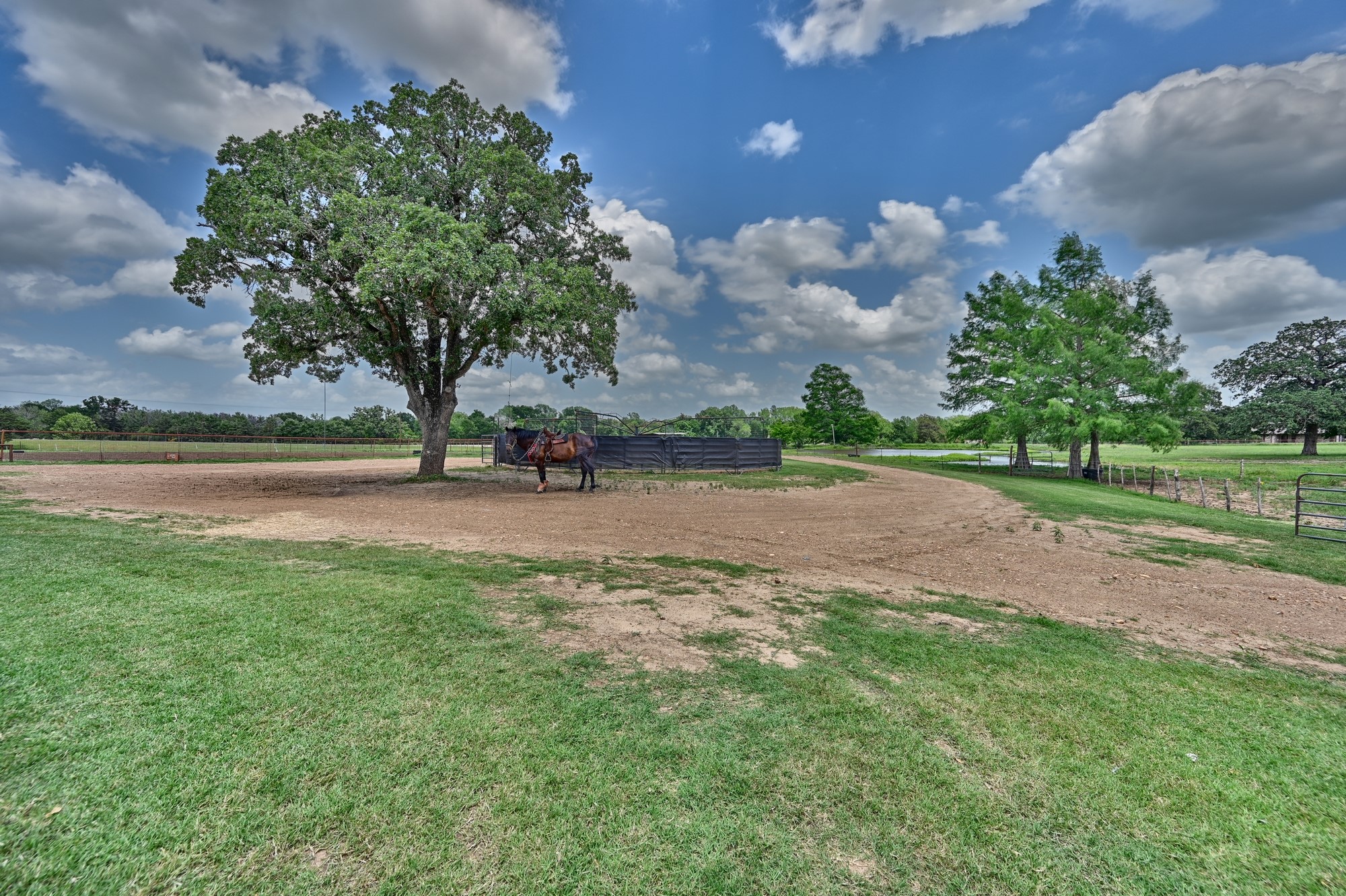 main property photo 38