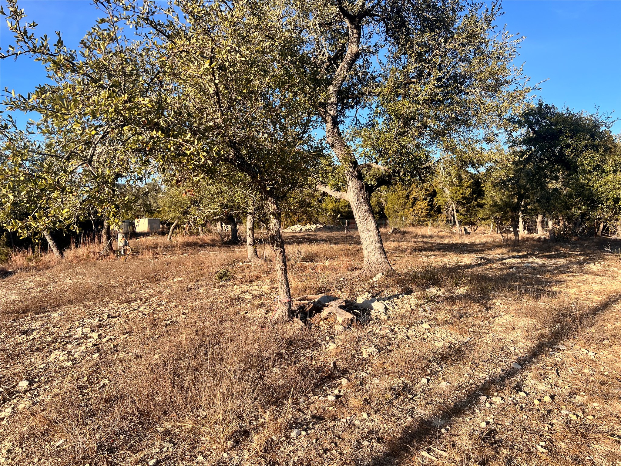 main property photo 9