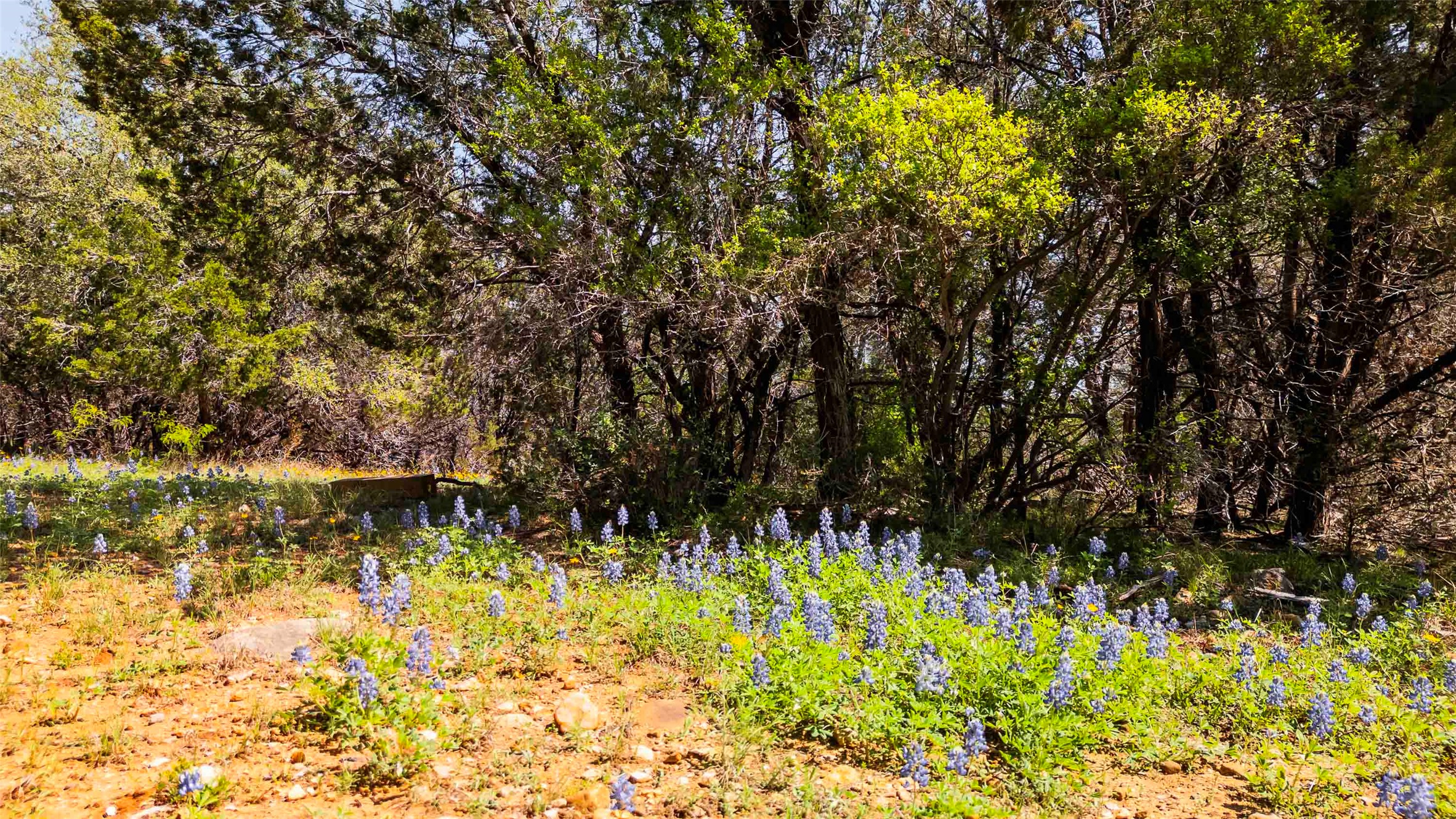 main property photo 10
