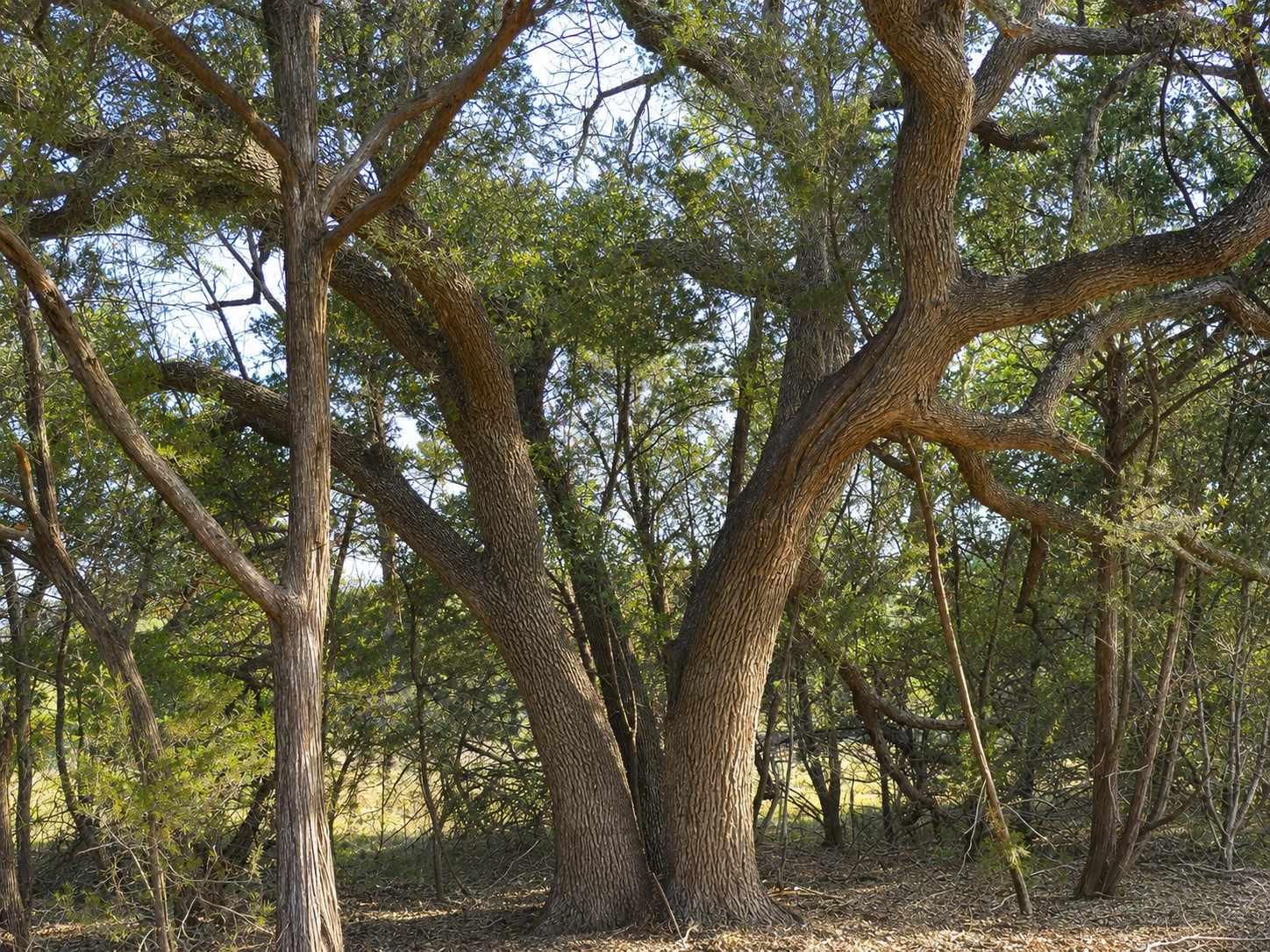 main property photo 5